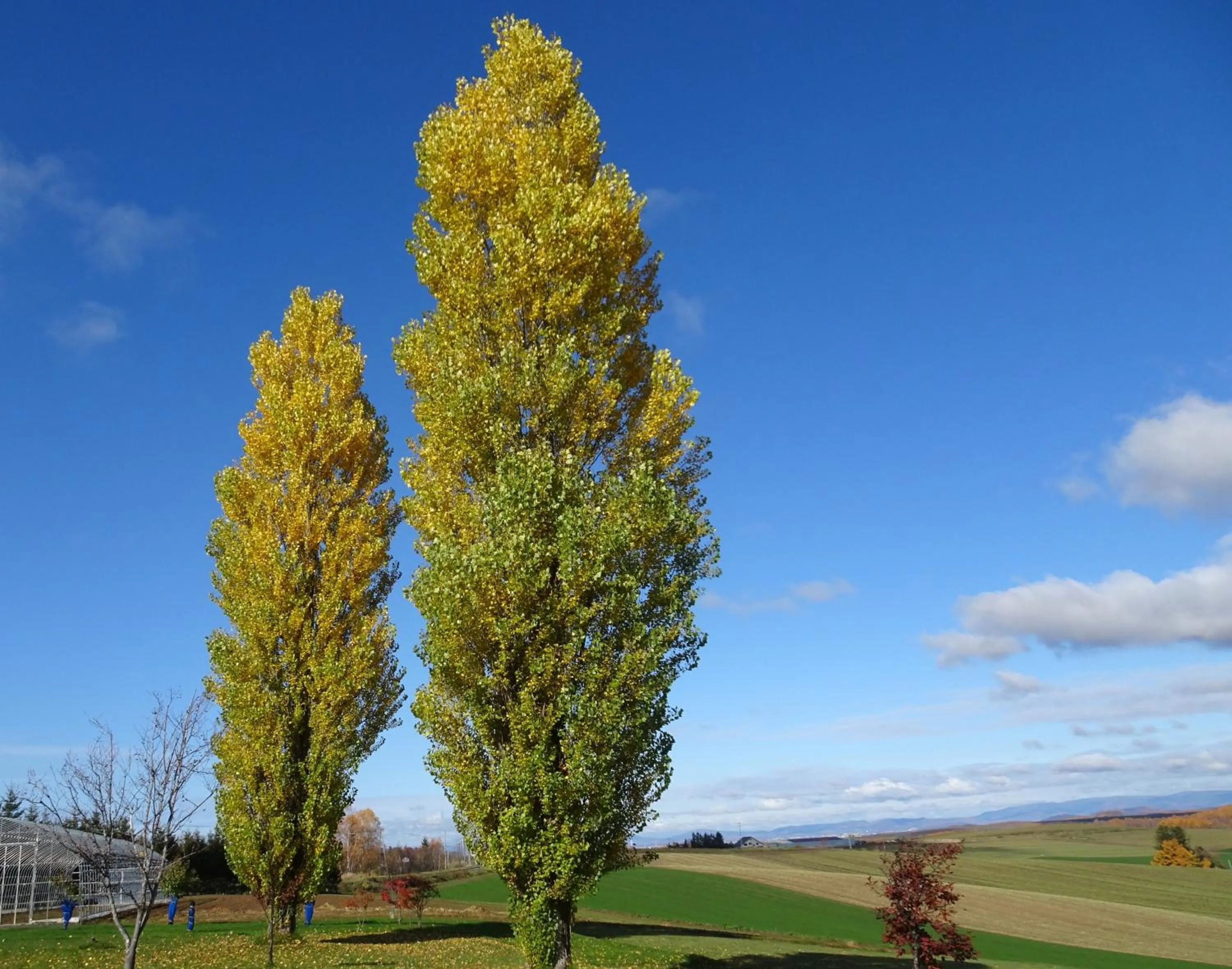 Natural landscape in B&B Ken&Mary