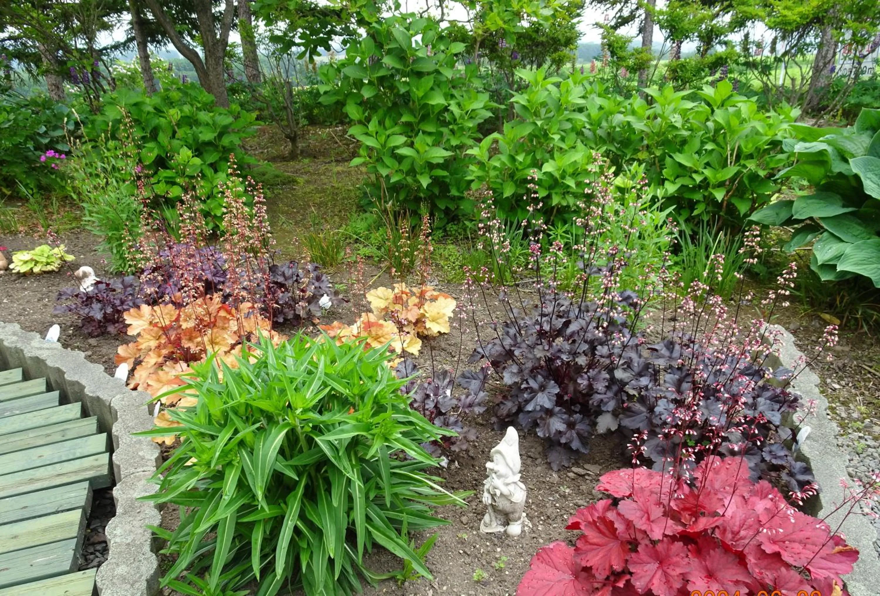 Garden in B&B Ken&Mary