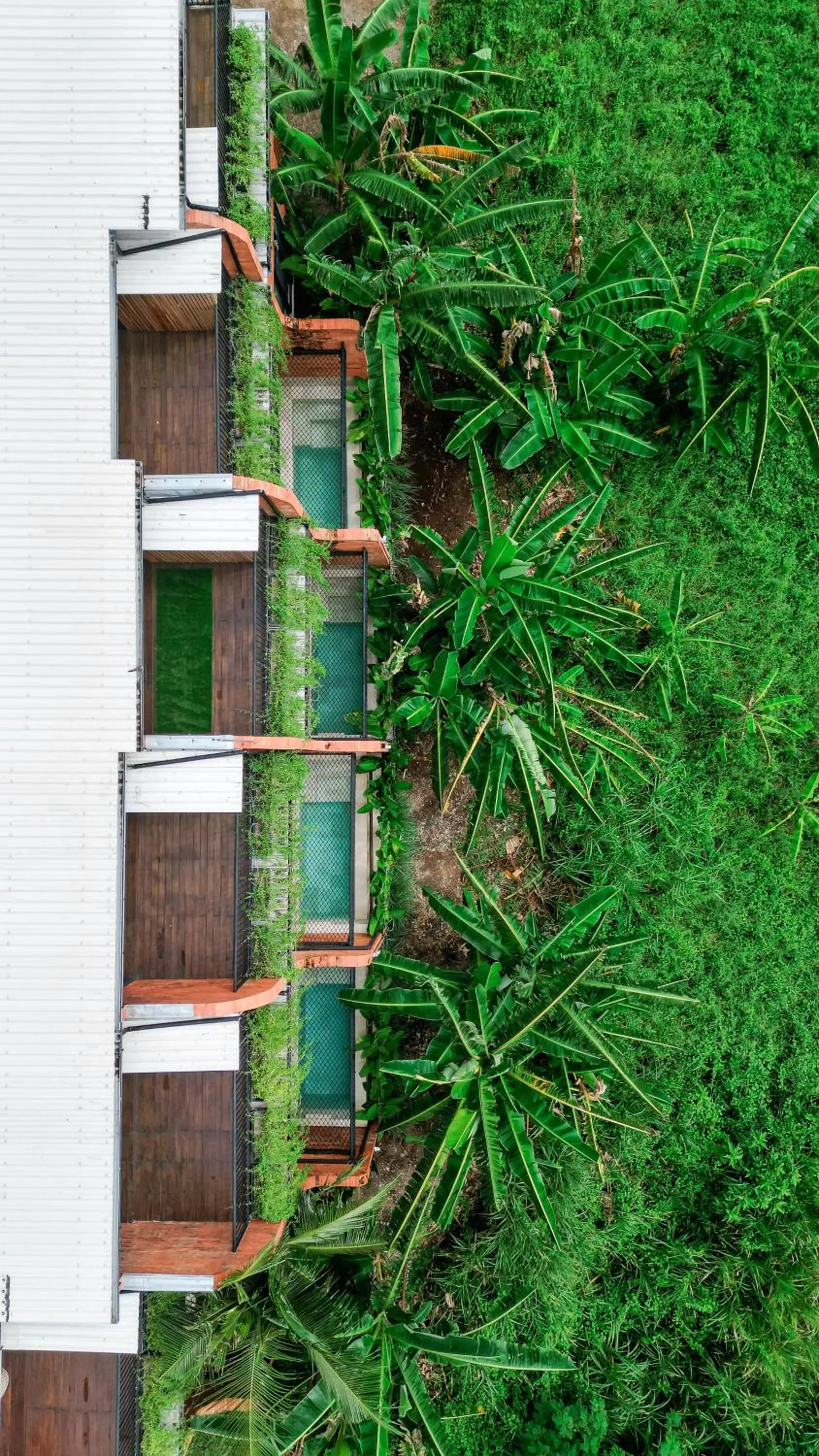 Property building in Baliris Canggu Villa by Betterplace