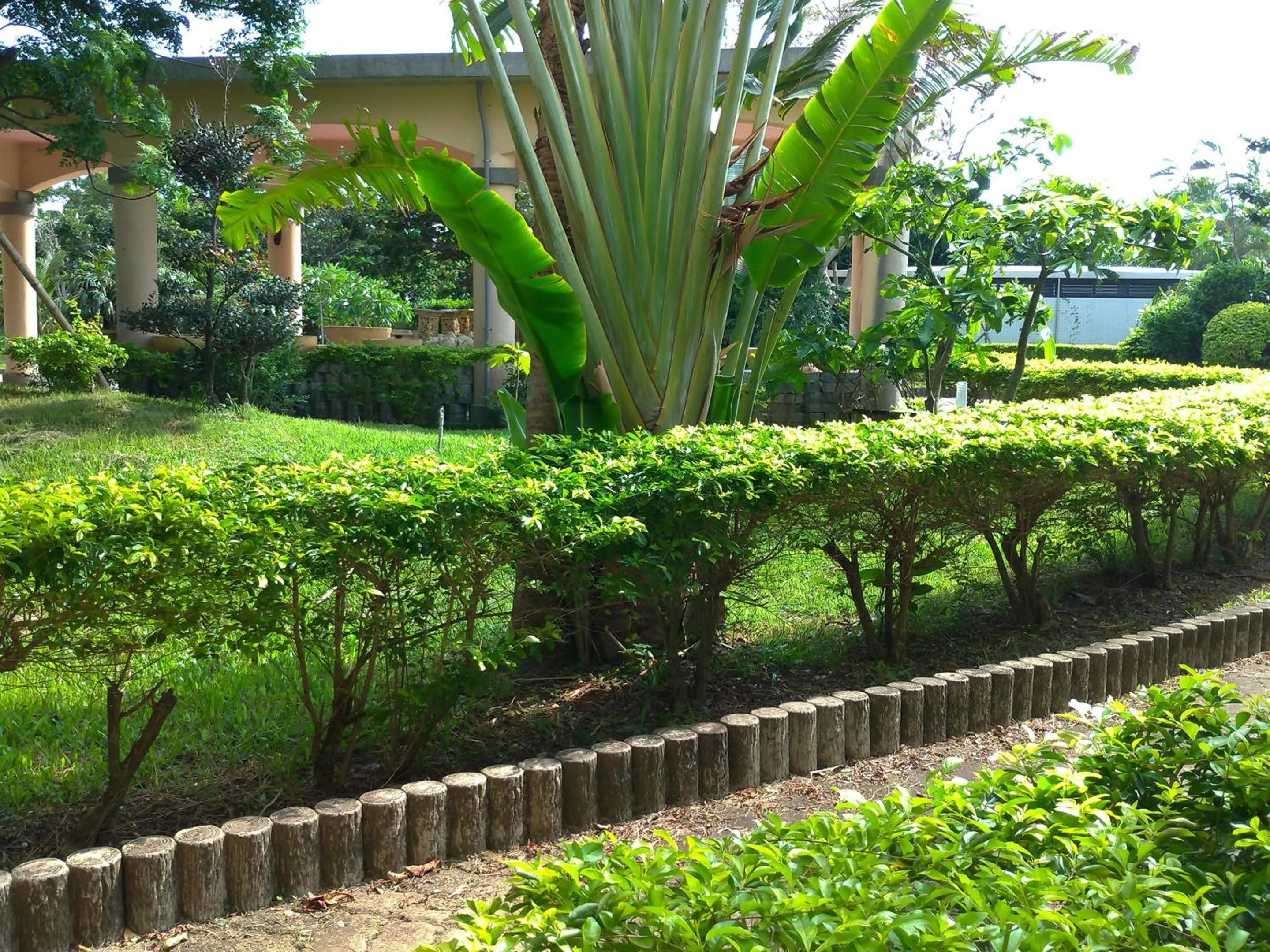 Garden in Howard Kenting Wonder House