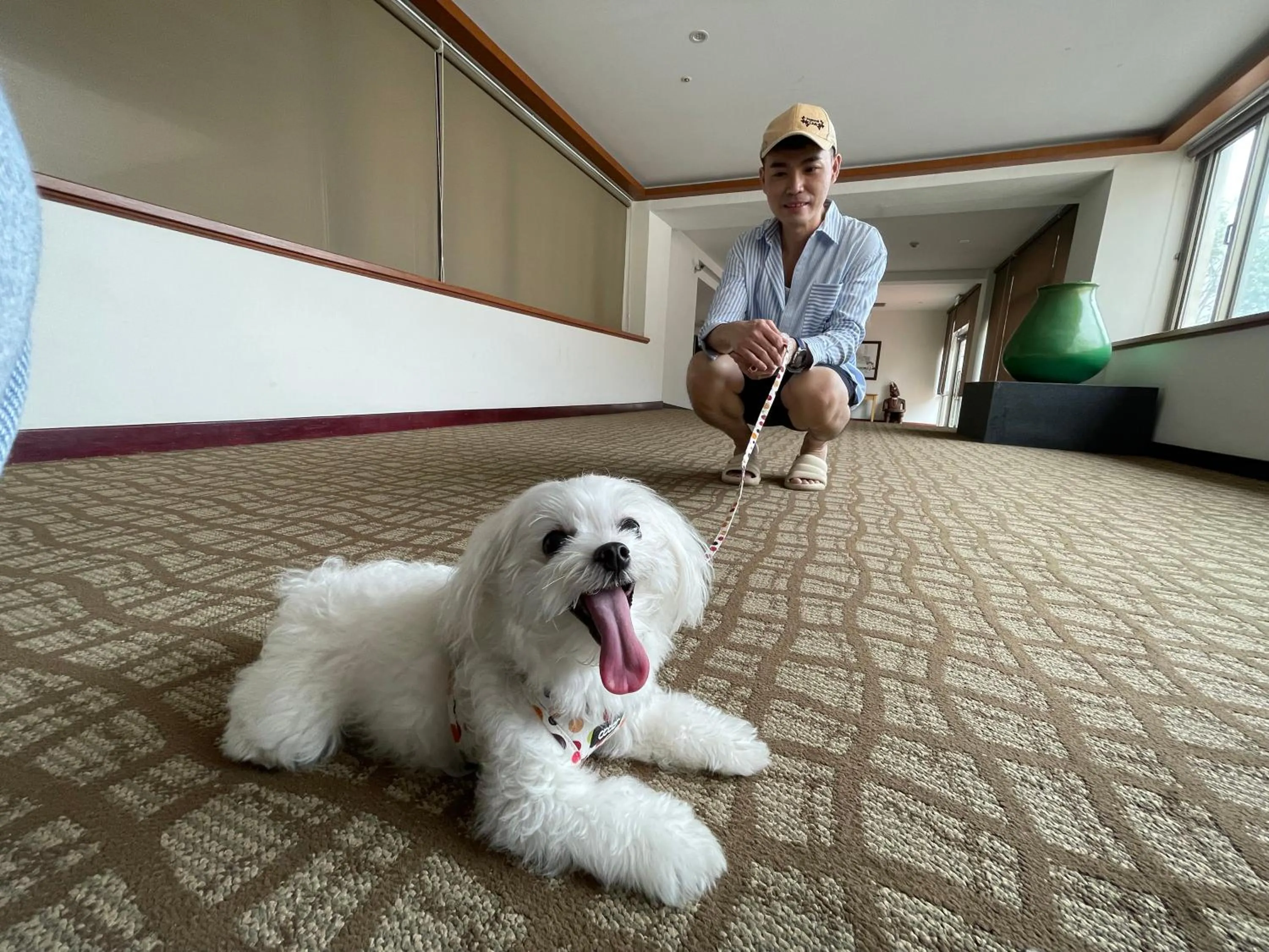 Pets in Howard Kenting Wonder House