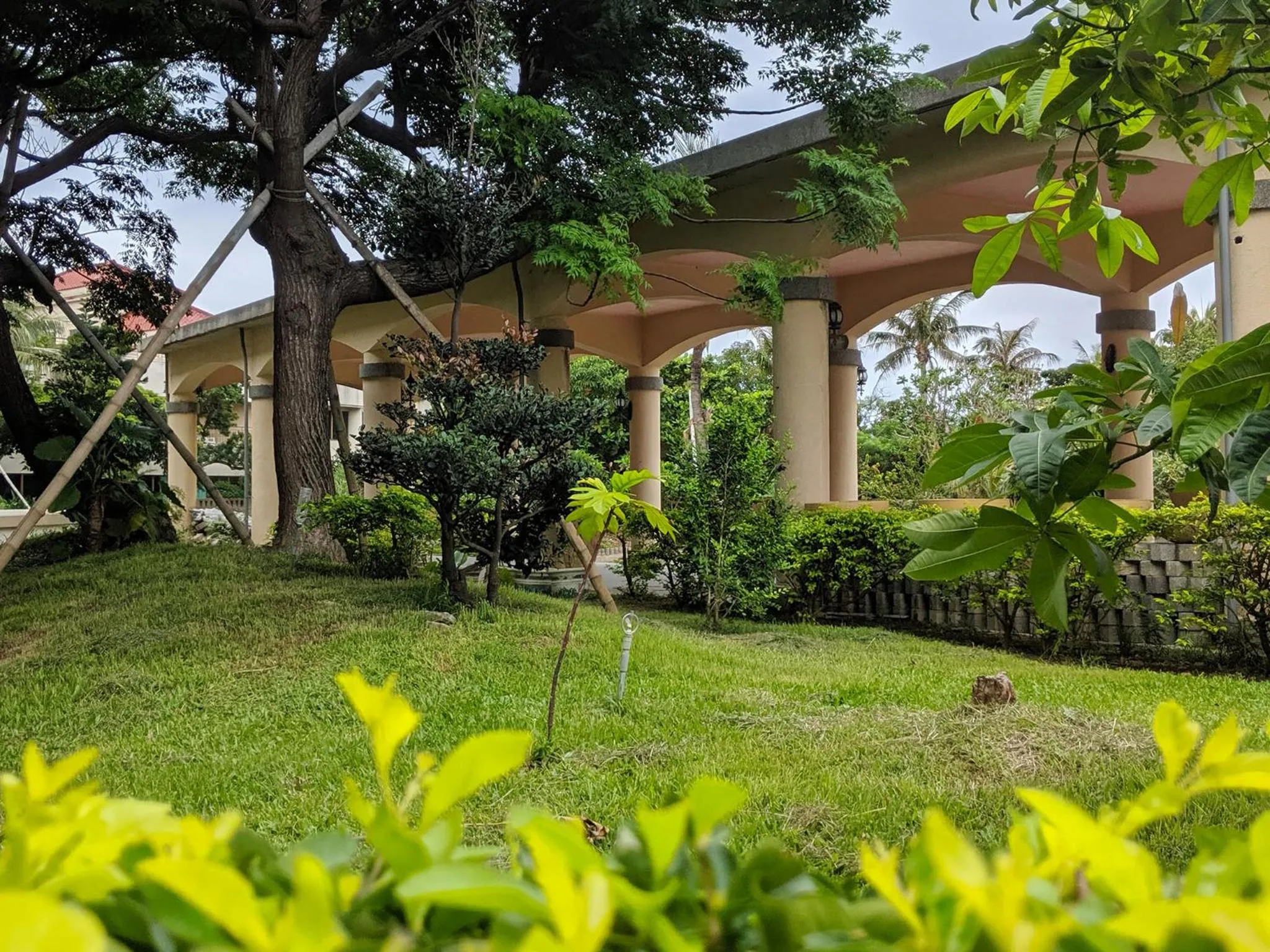Garden in Howard Kenting Wonder House
