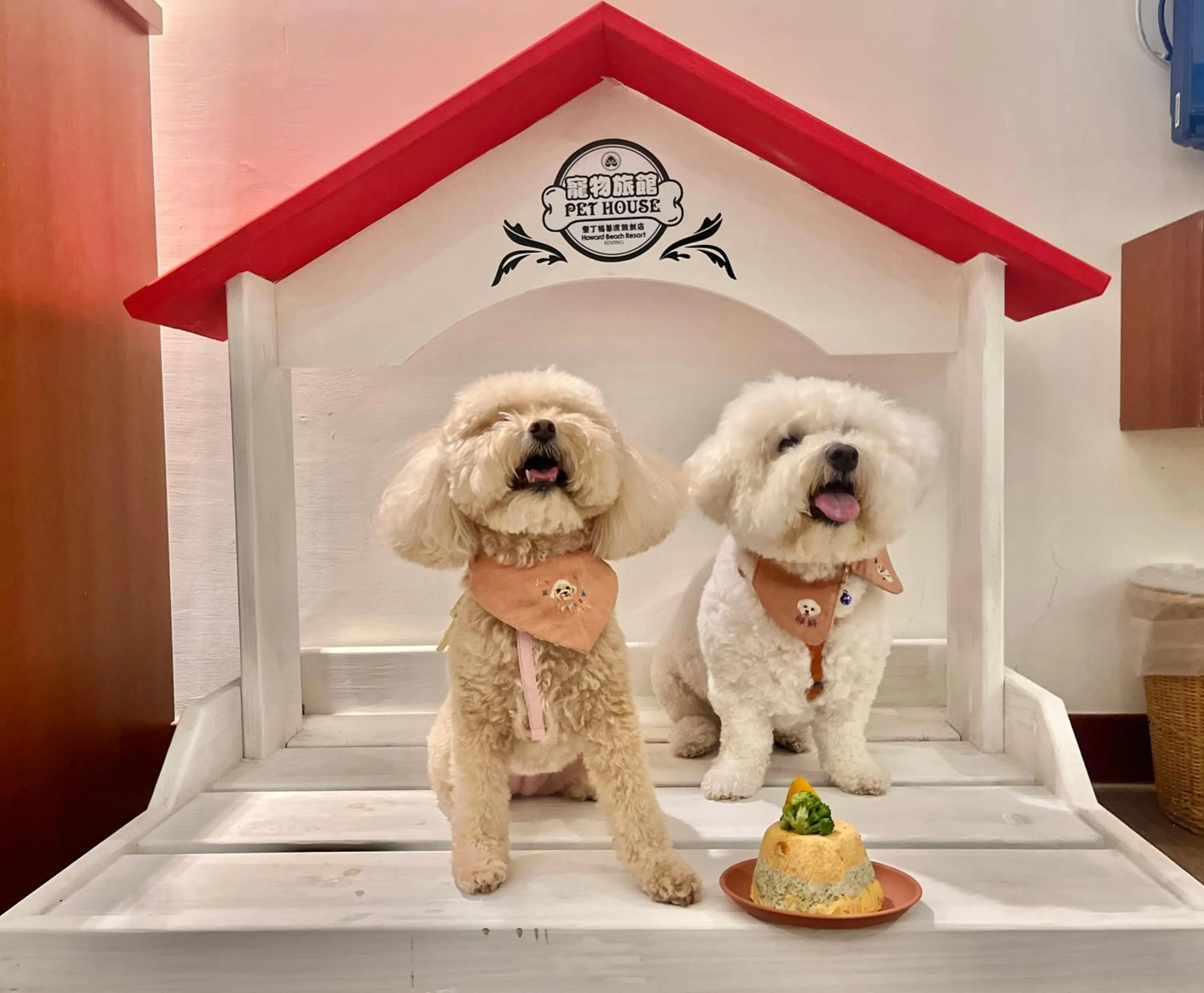 Pets in Howard Kenting Wonder House