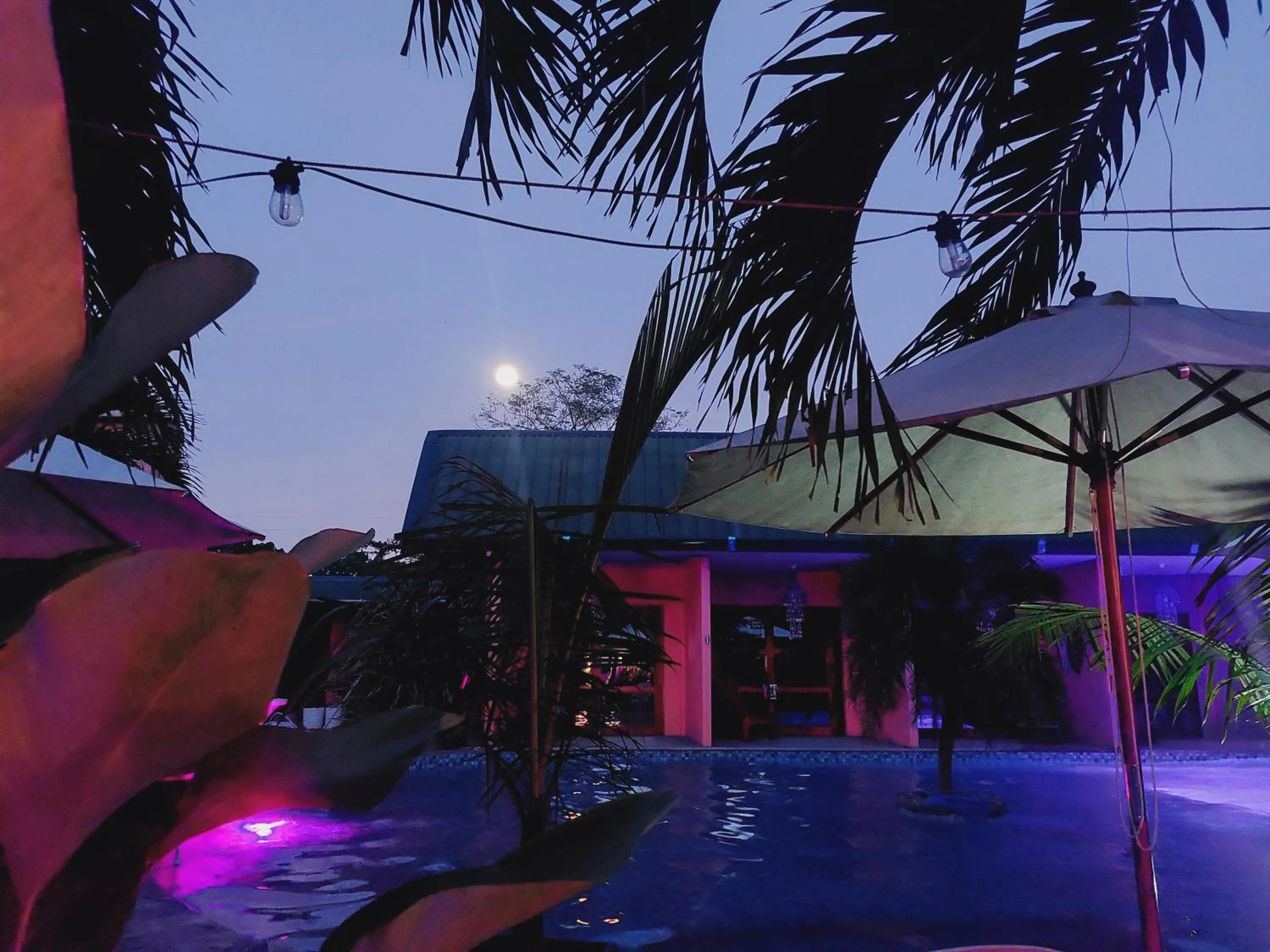 Pool view in P1 Resort