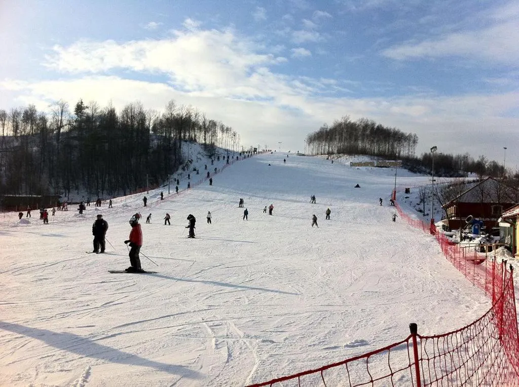 Winter in Hotel Senator Konferencje & SPA