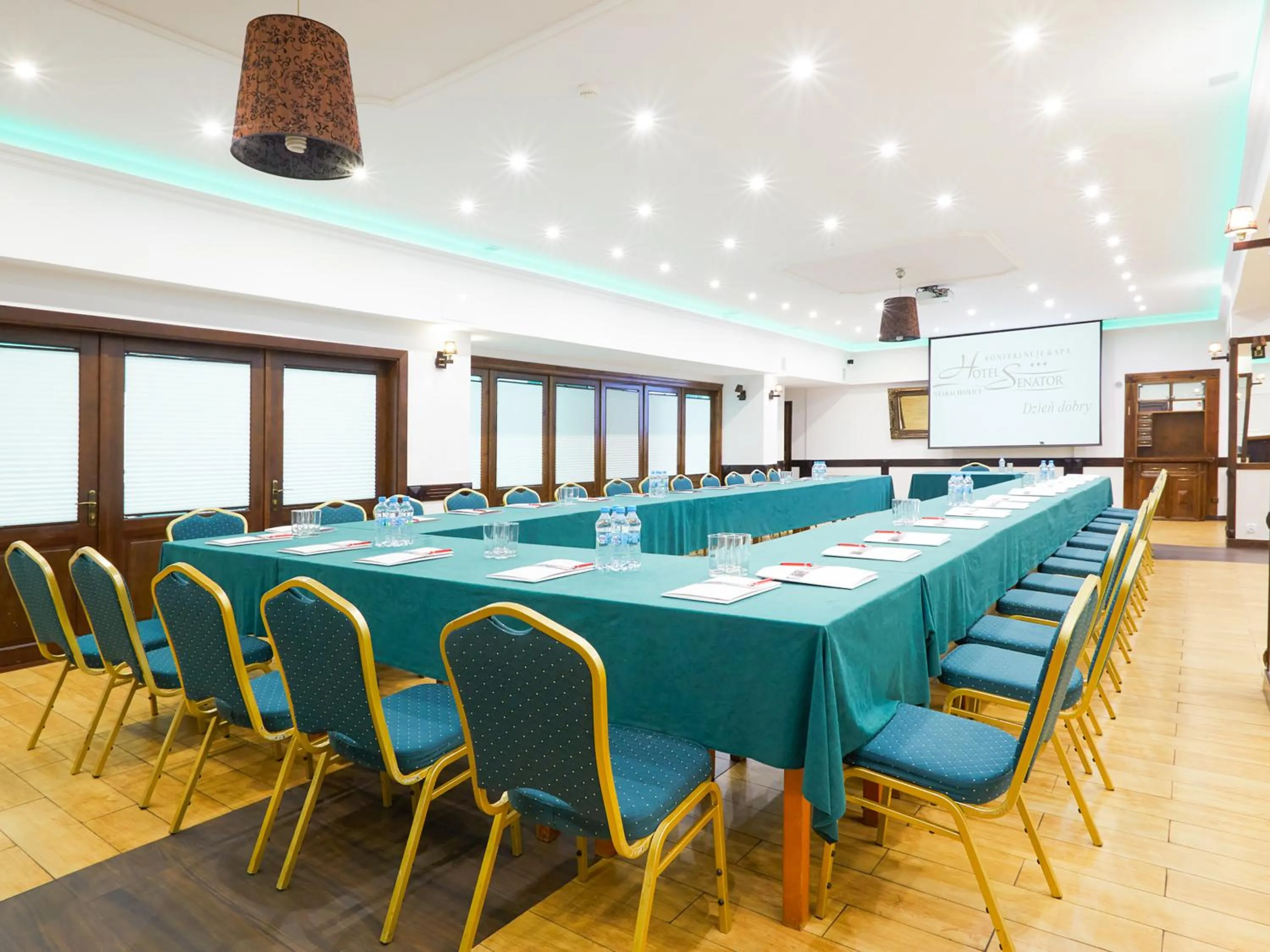 Business facilities in Hotel Senator Konferencje & SPA