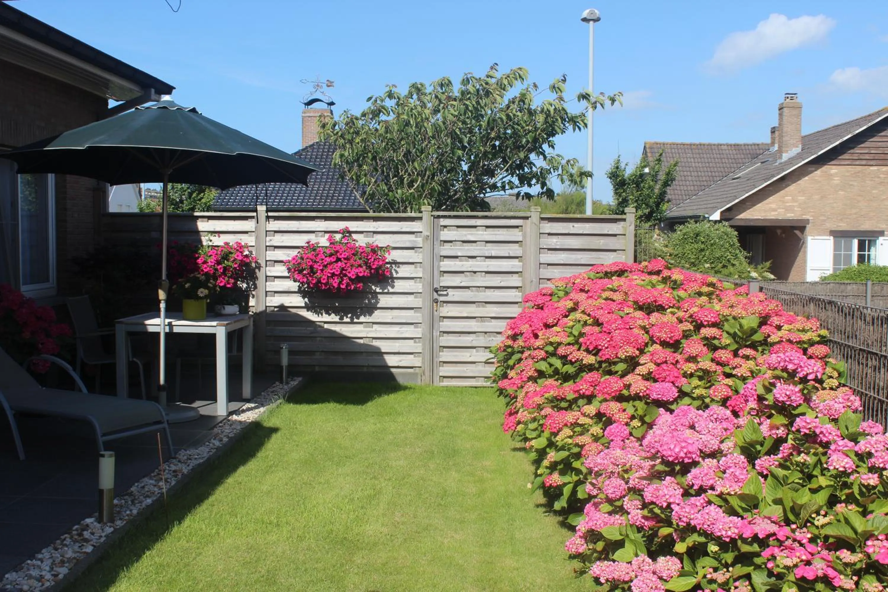 Garden view in B&B Vanloo