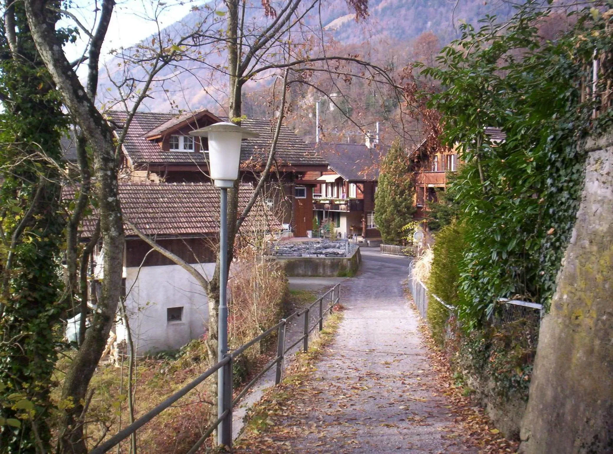 Natural landscape in Alpina Boutique Hotel Interlaken - Ringgenberg - Adults only !