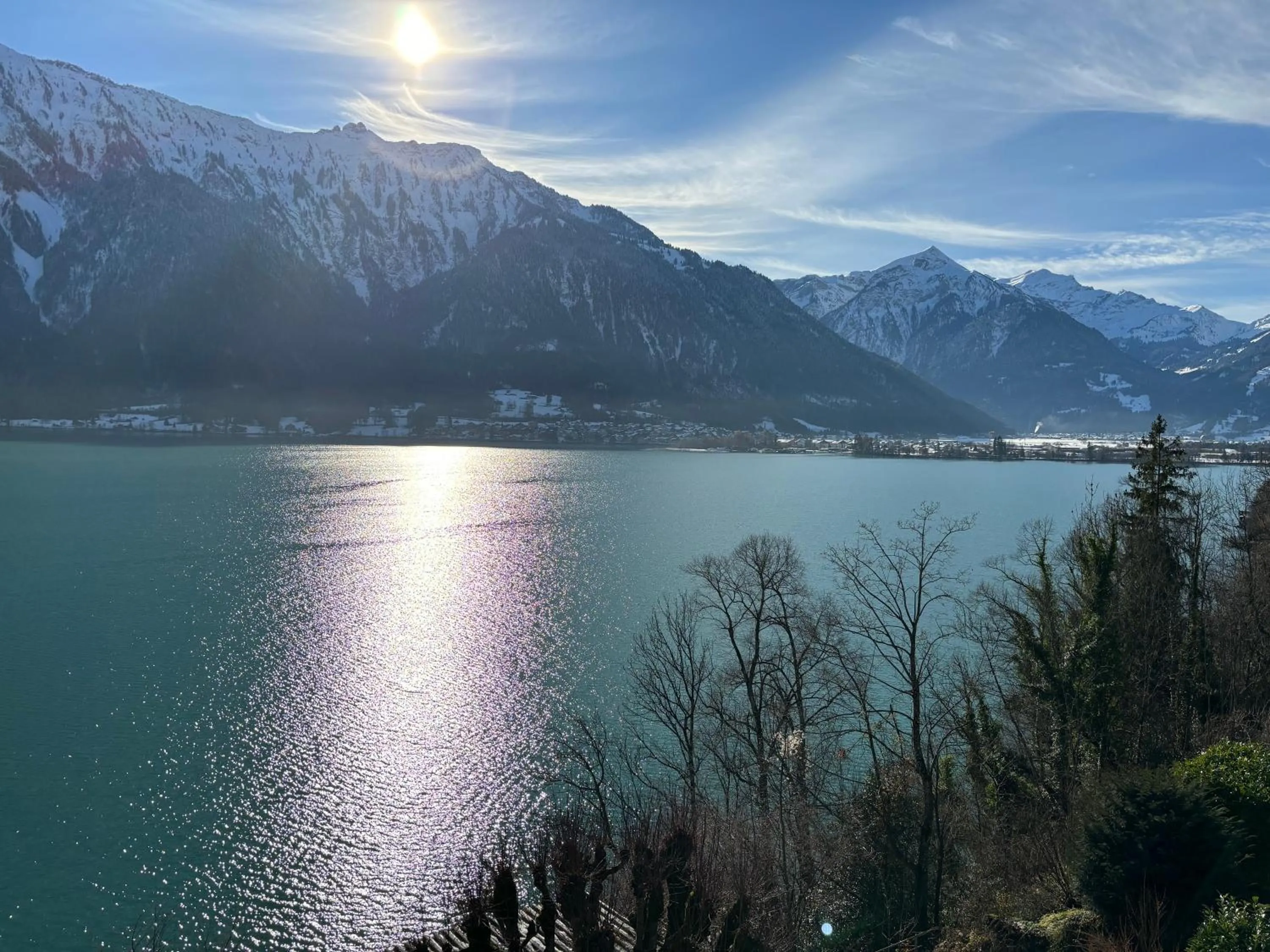 Natural landscape in Alpina Boutique Hotel Interlaken - Ringgenberg - Adults only !