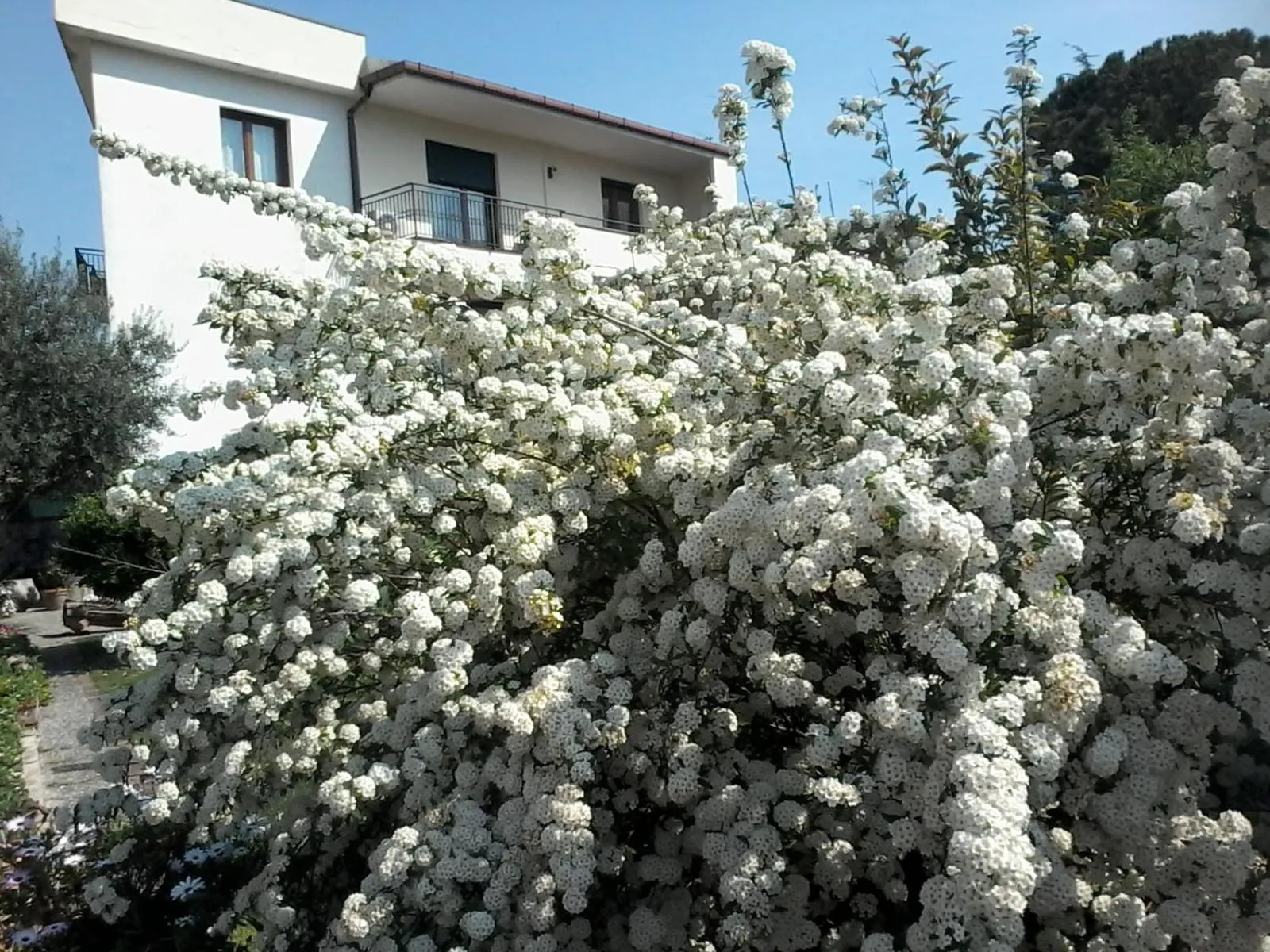 Property building in Casa Iovara