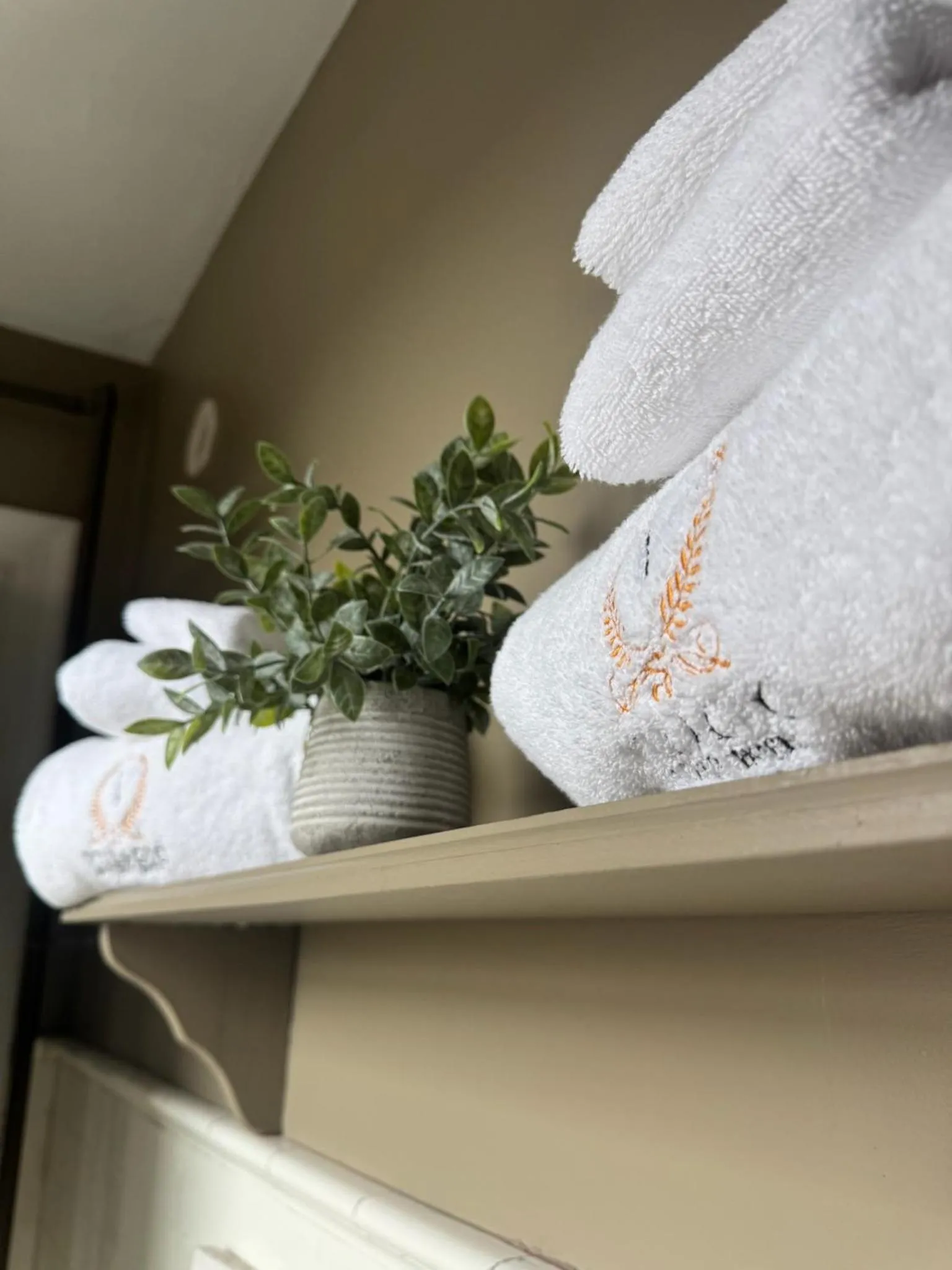 Double Room - single occupancy in Villagio Boutique Hotel