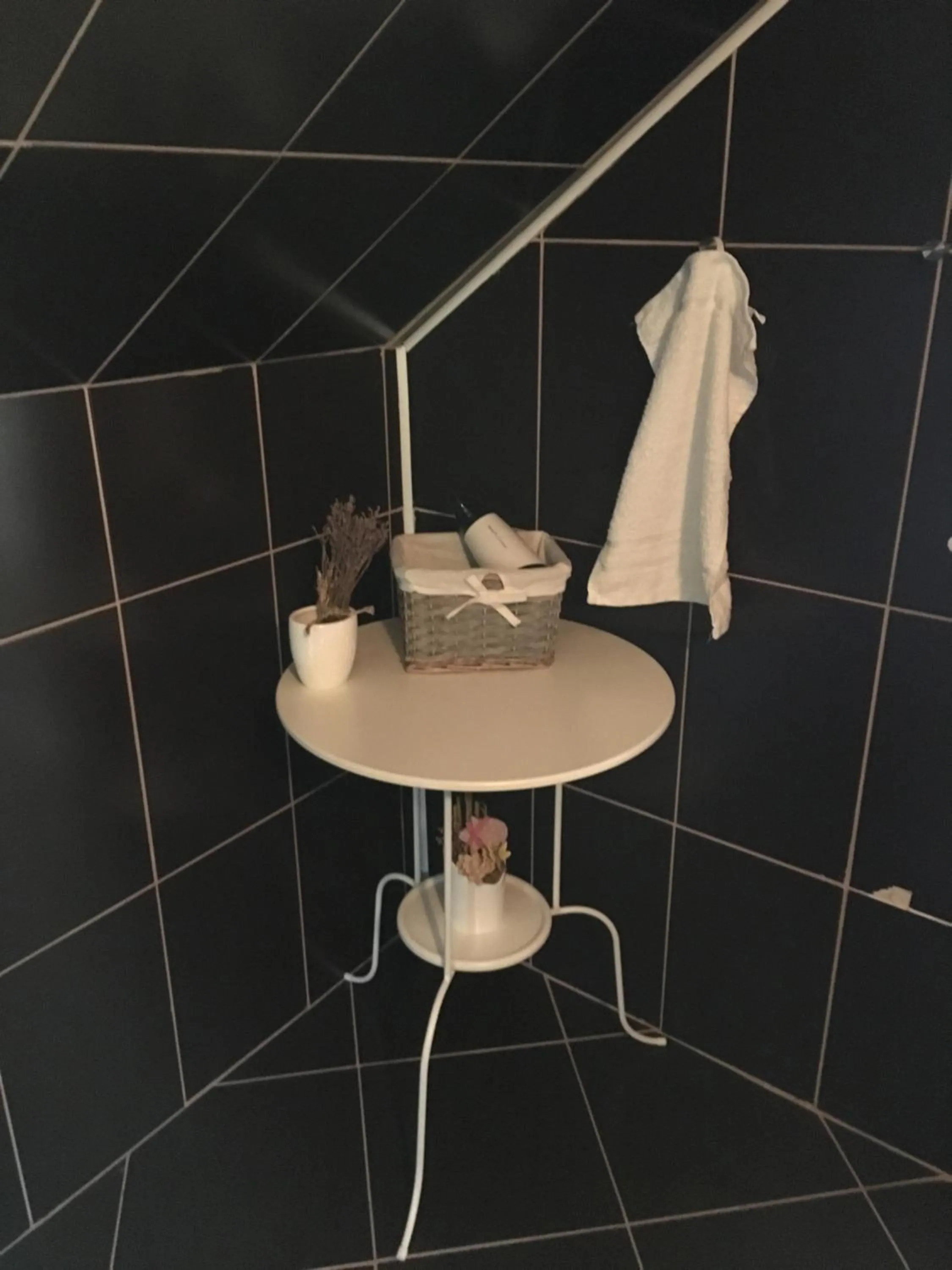 Shower in Casa Skandik Ház