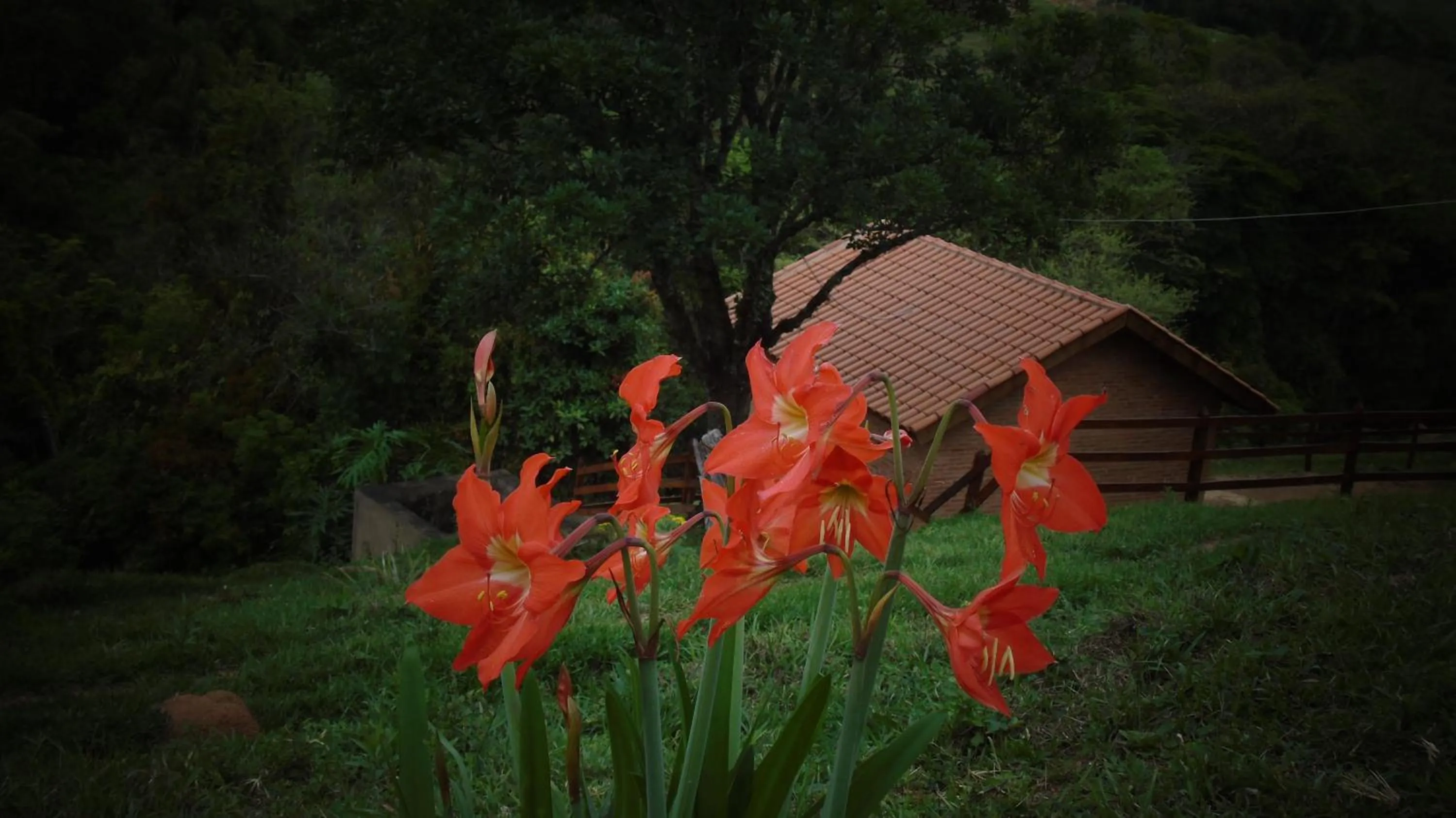 Chalés Pedacim du Céu