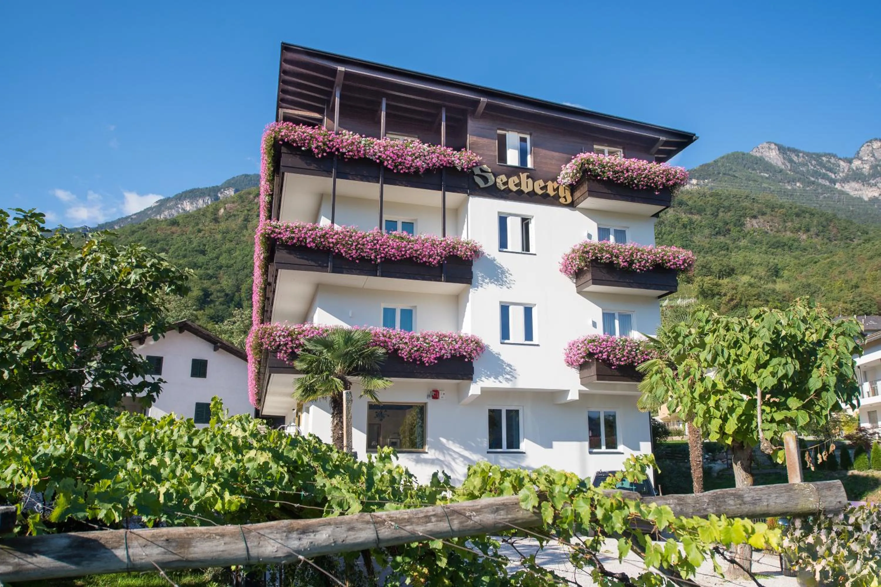 Property building in Seeberg Garni Hotel