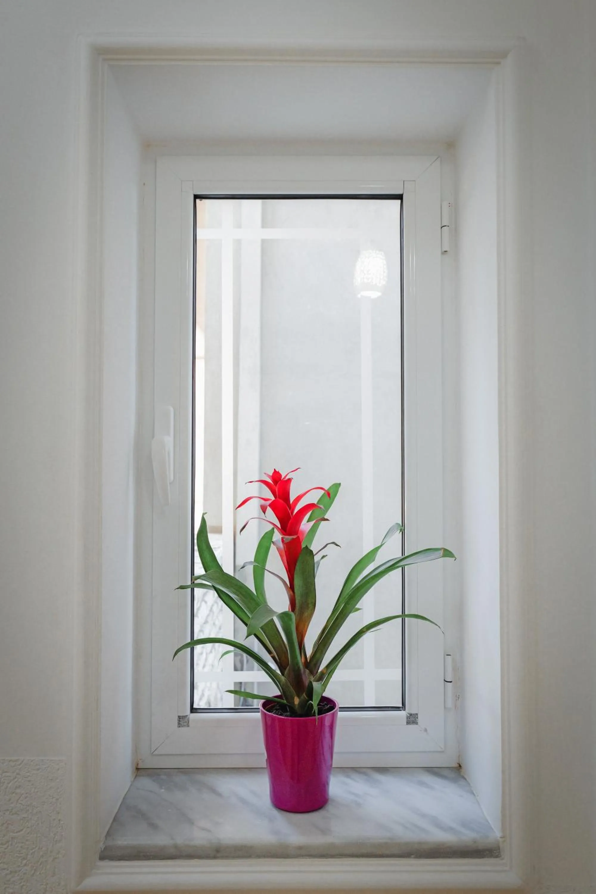 Decorative detail in Villa Xika