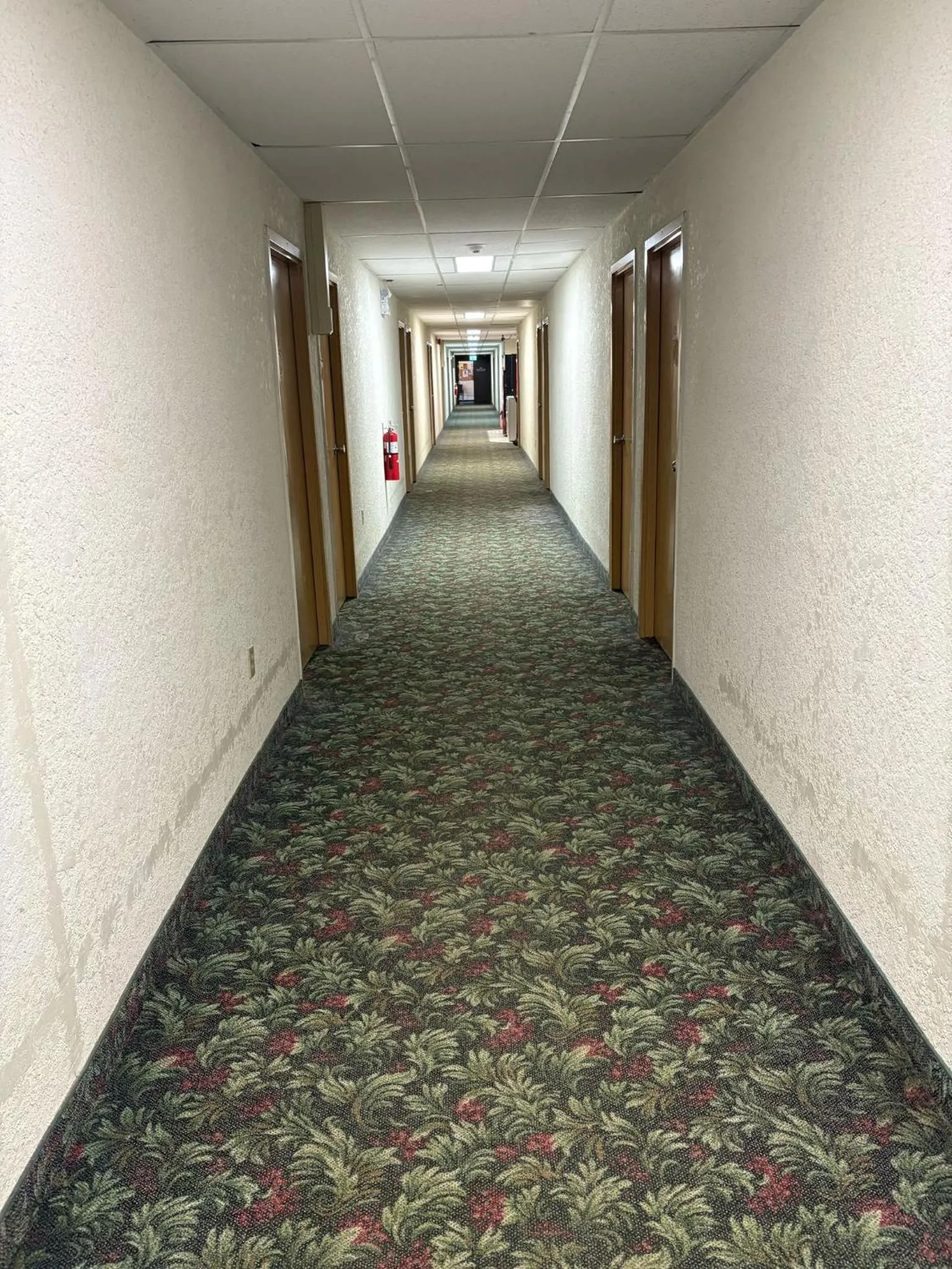 Other in Maple Creek Motor Inn