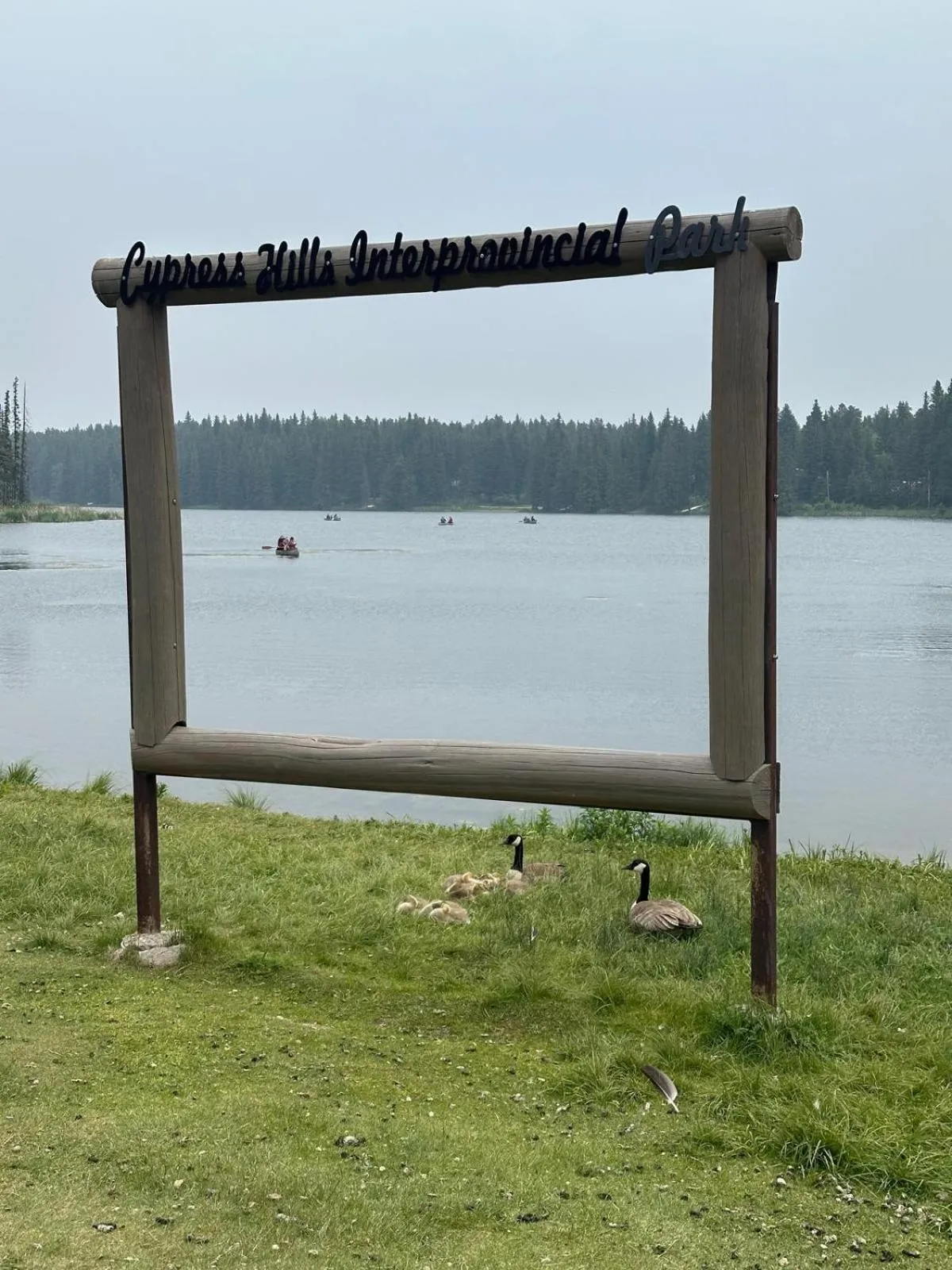 Natural landscape in Maple Creek Motor Inn