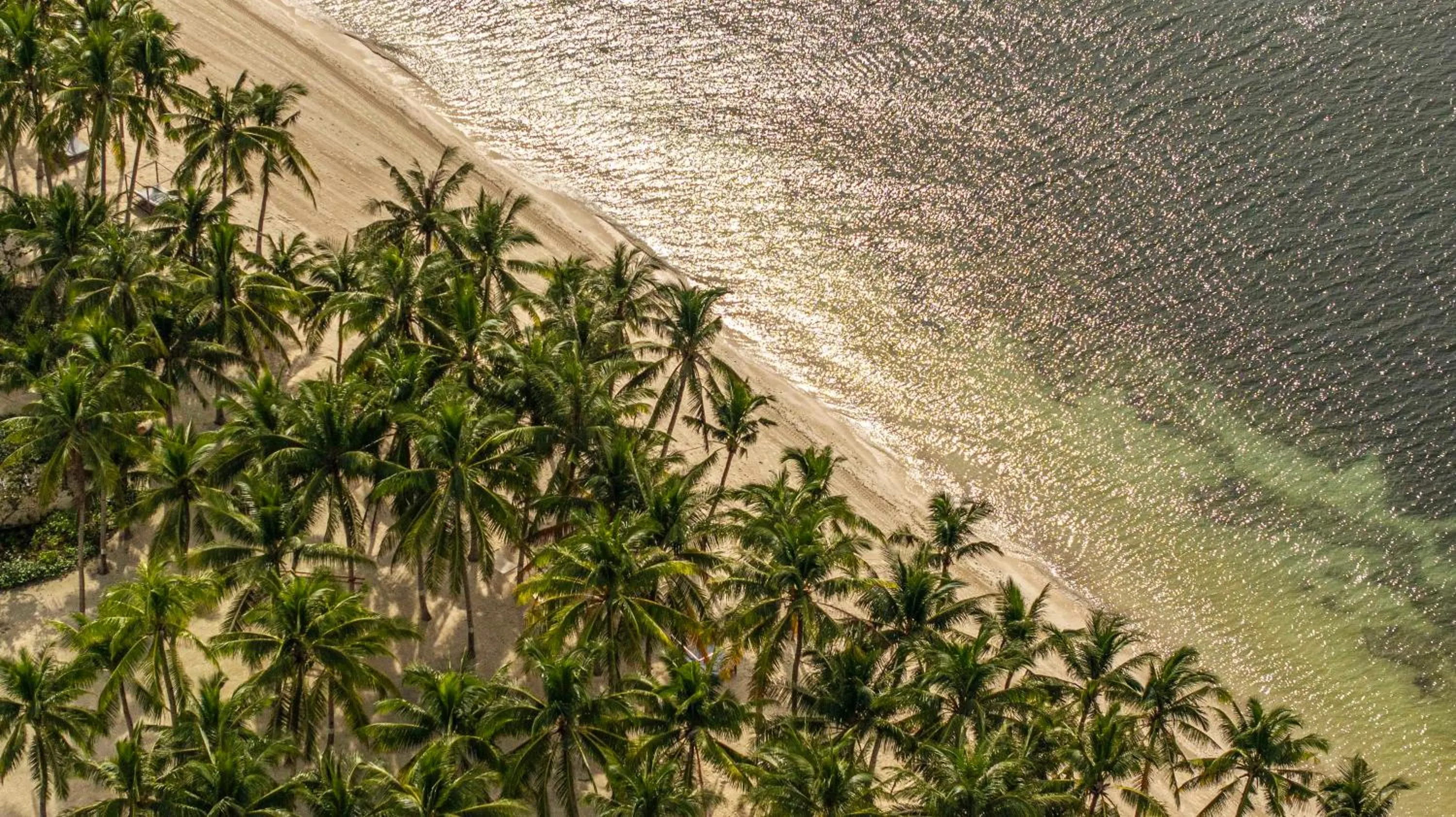 South Palms Resort and Spa Panglao - MGallery Collection