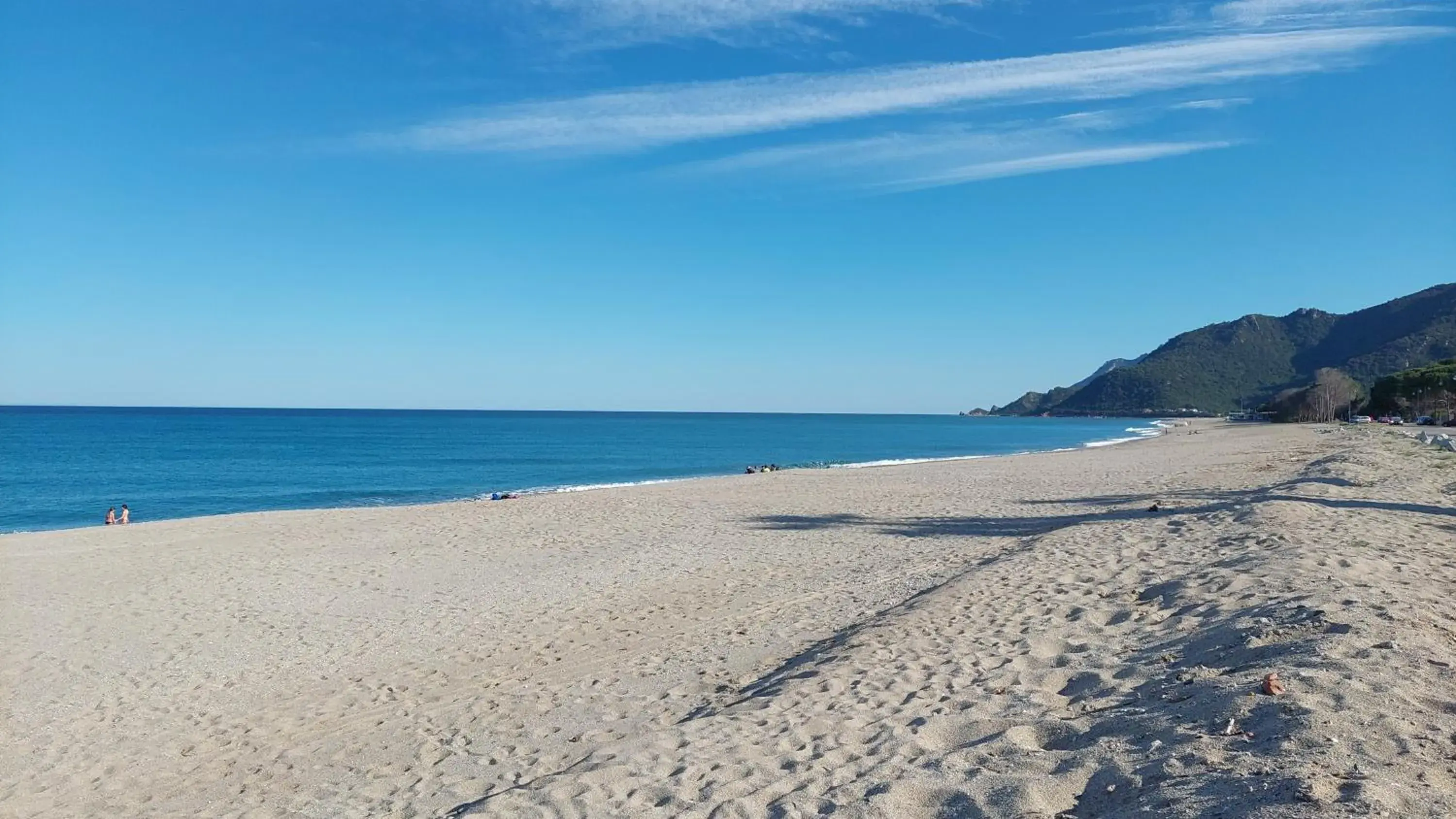 La Corte Degli Ulivi La Corte Degli Ulivi