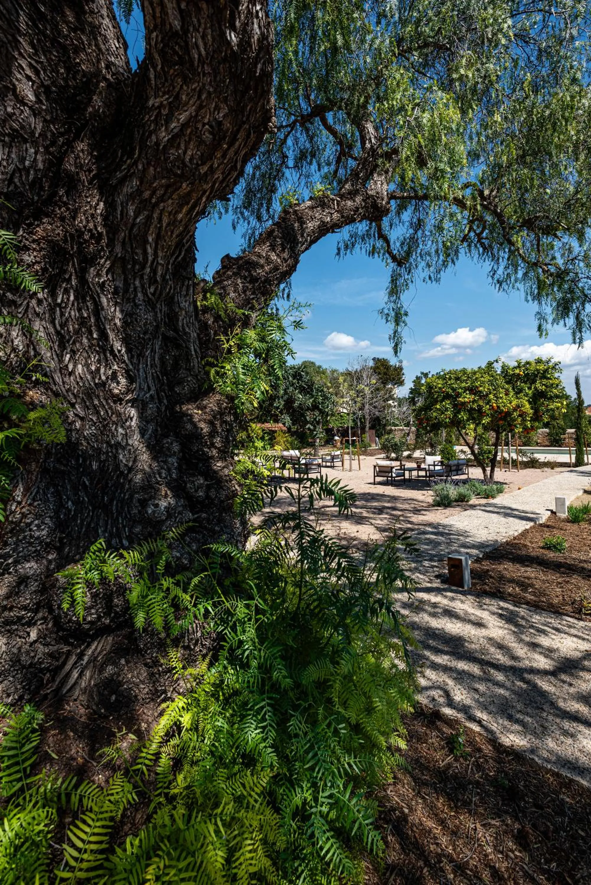 Garden in Hotel Boutique Làpety