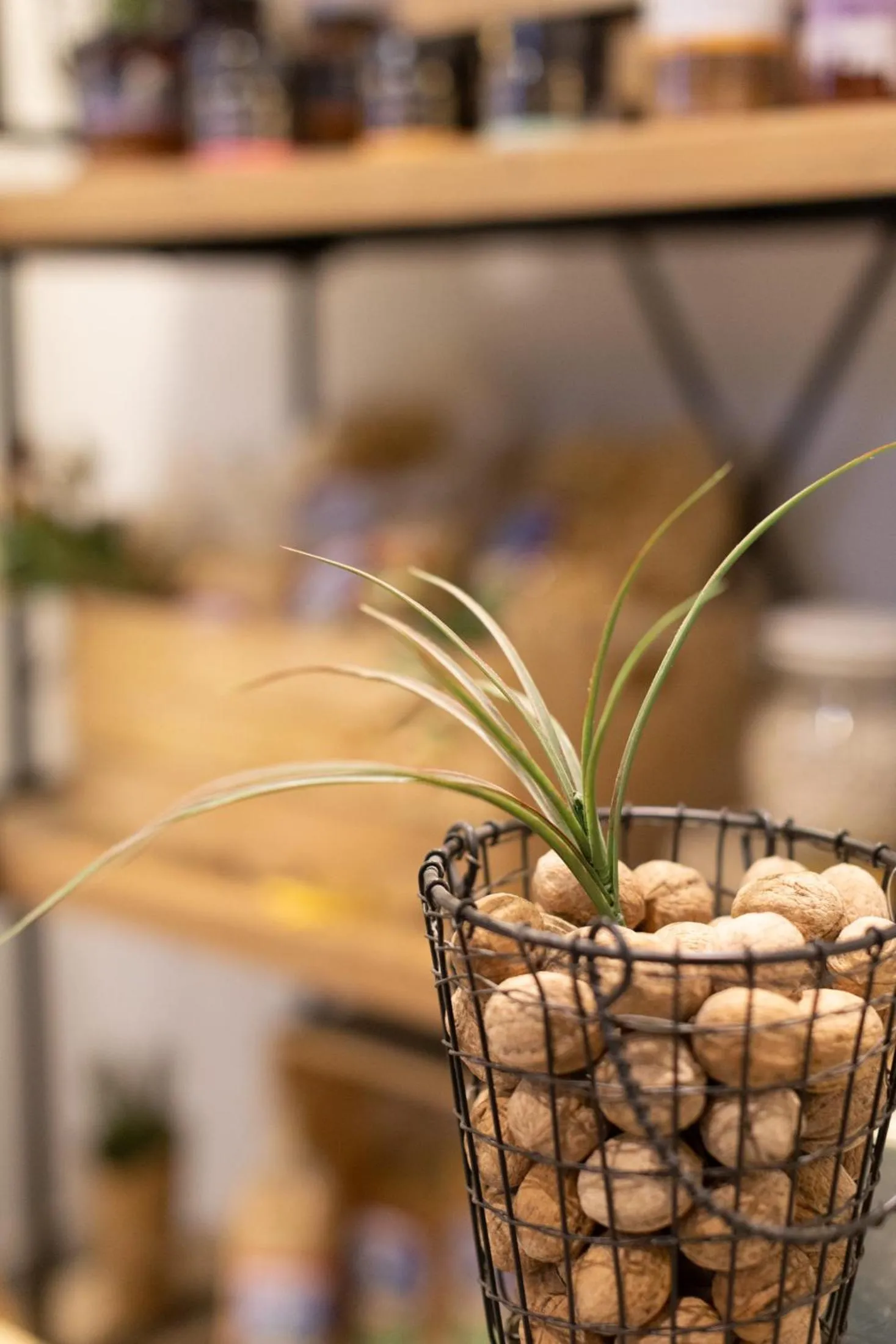 Food in Filoxenia Hotel & Spa