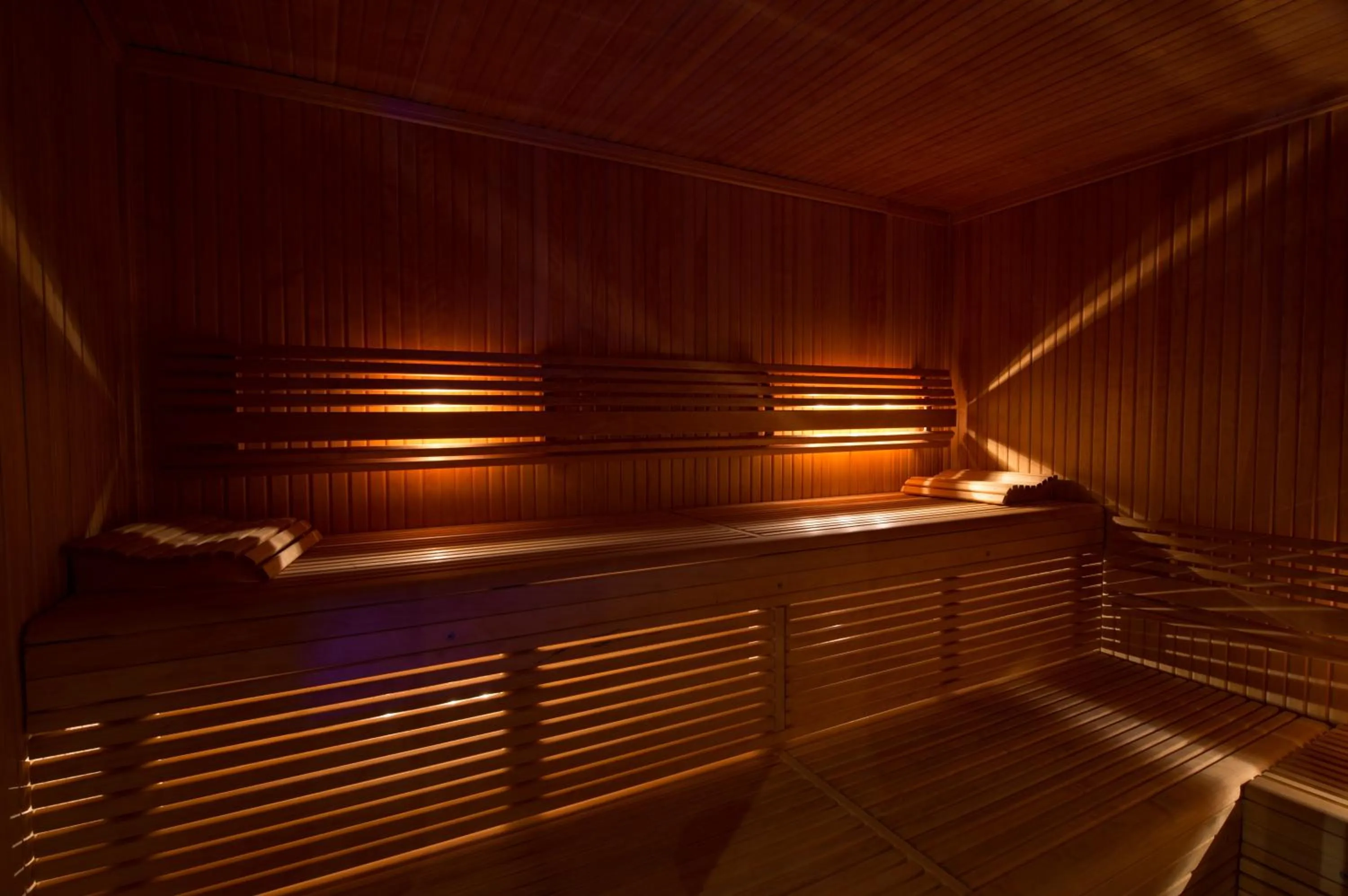 Sauna in Filoxenia Hotel & Spa