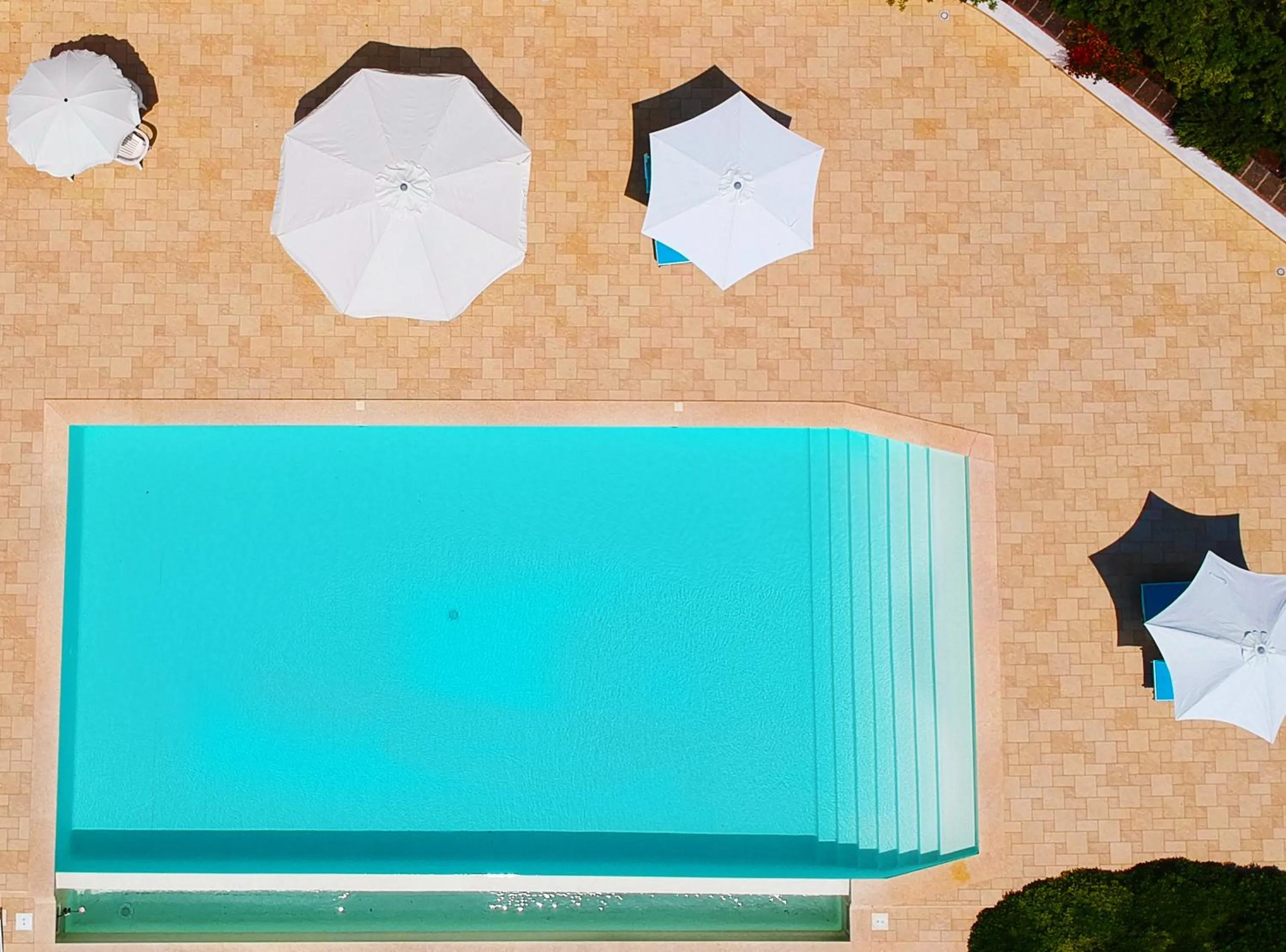 Pool view in Nontiscordardimé B&B Villa Agriturismo