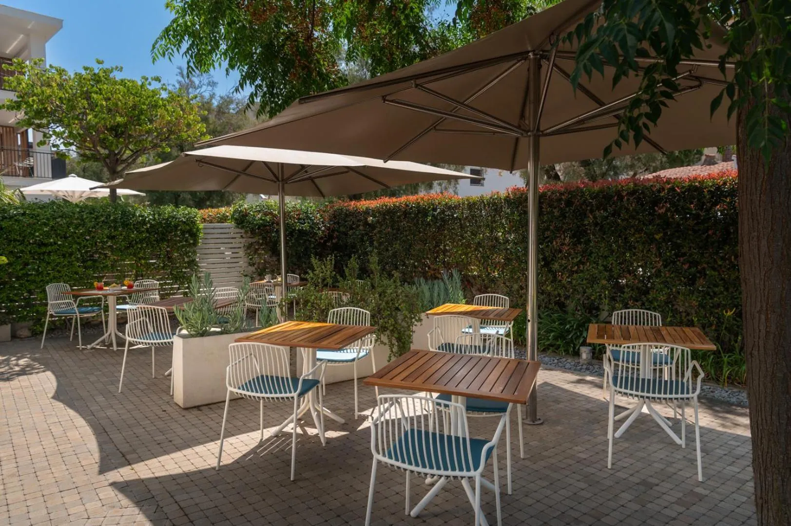 Garden in 1935 Hotel Boutique & Apartments - Adults Only