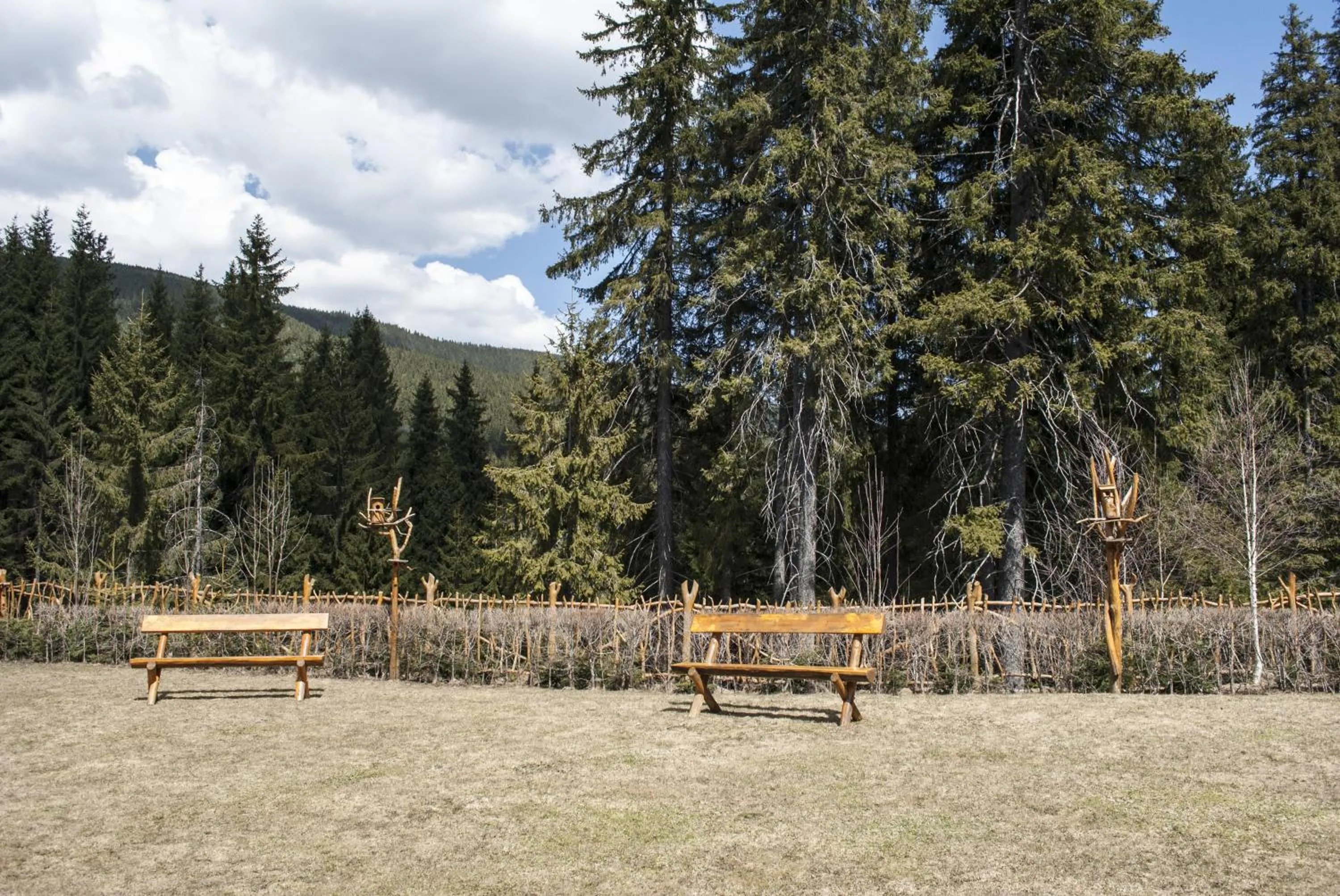 Day in Pensiunea Bella Vita
