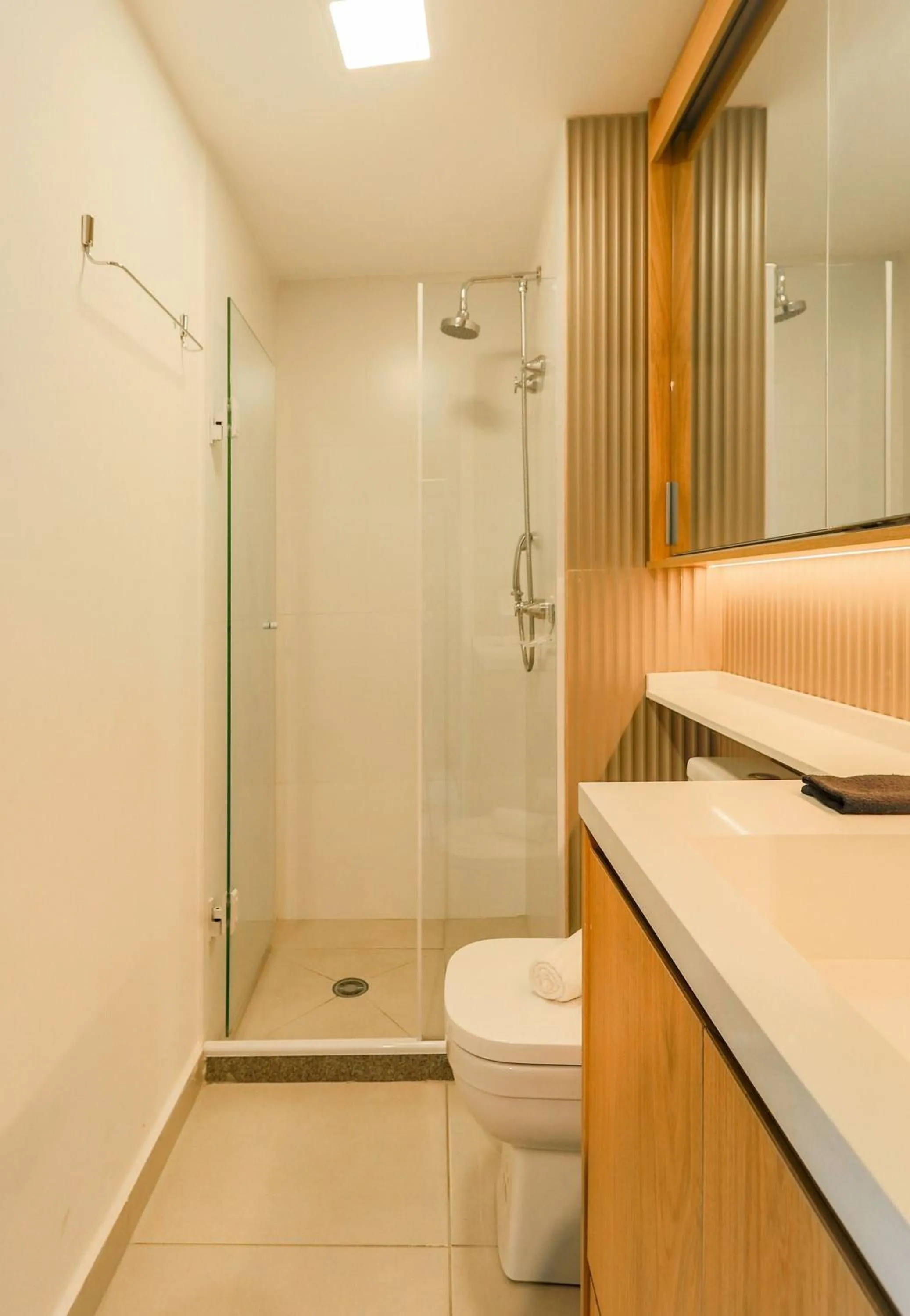 Toilet in Composite Moema