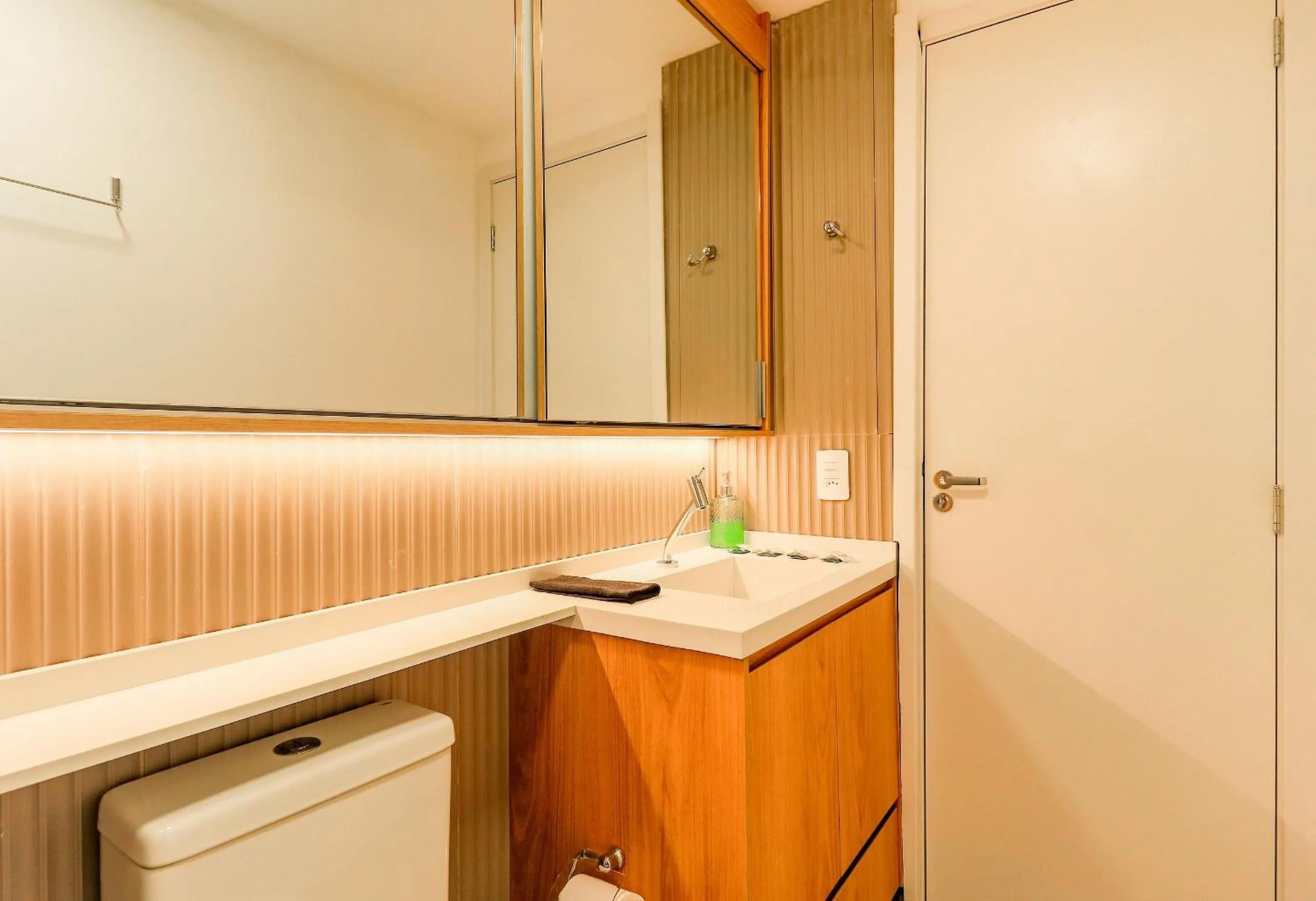 Toilet in Composite Moema