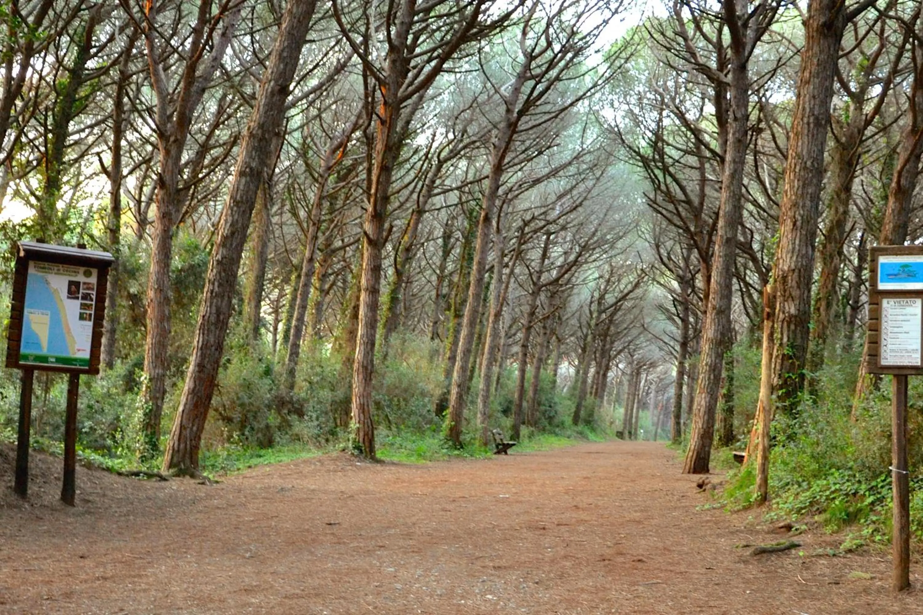 Natural landscape in Apartments Via Dei Platani