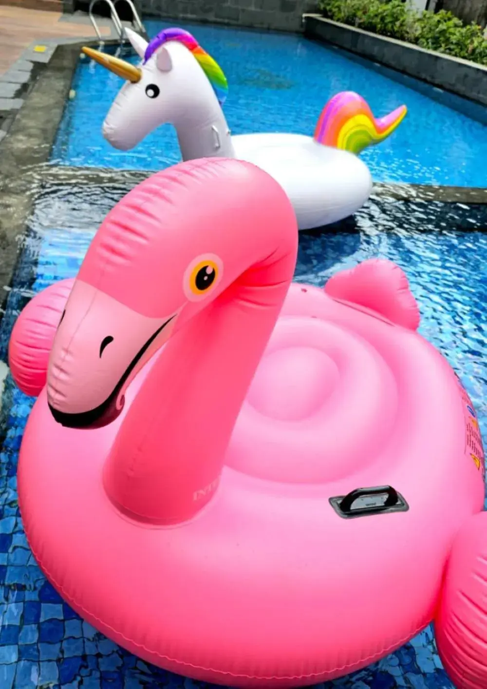 Swimming pool in Truntum Cihampelas Swimming pool in Truntum Cihampelas