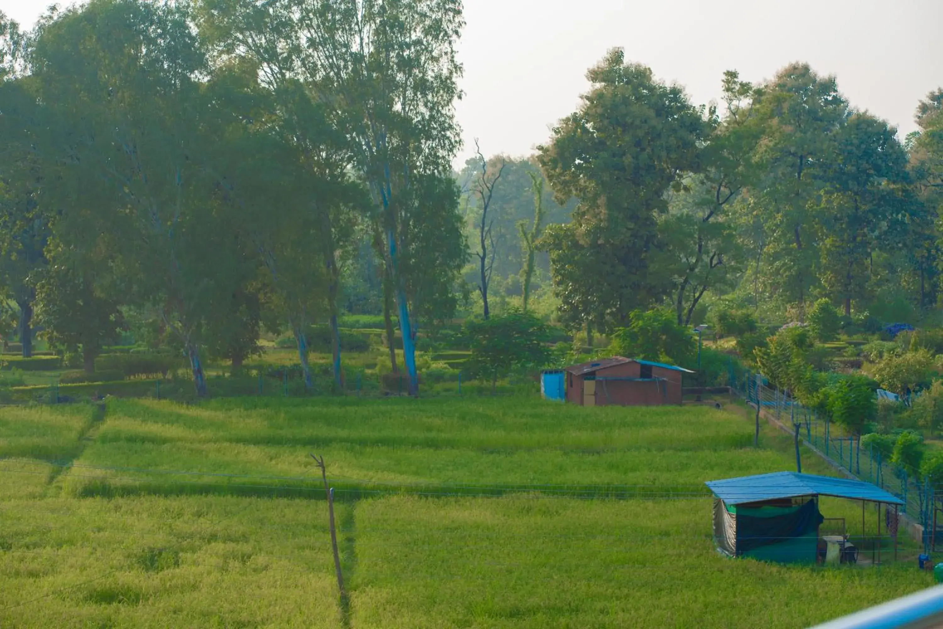 Corbett Cottage Resort Corbett Cottage Resort