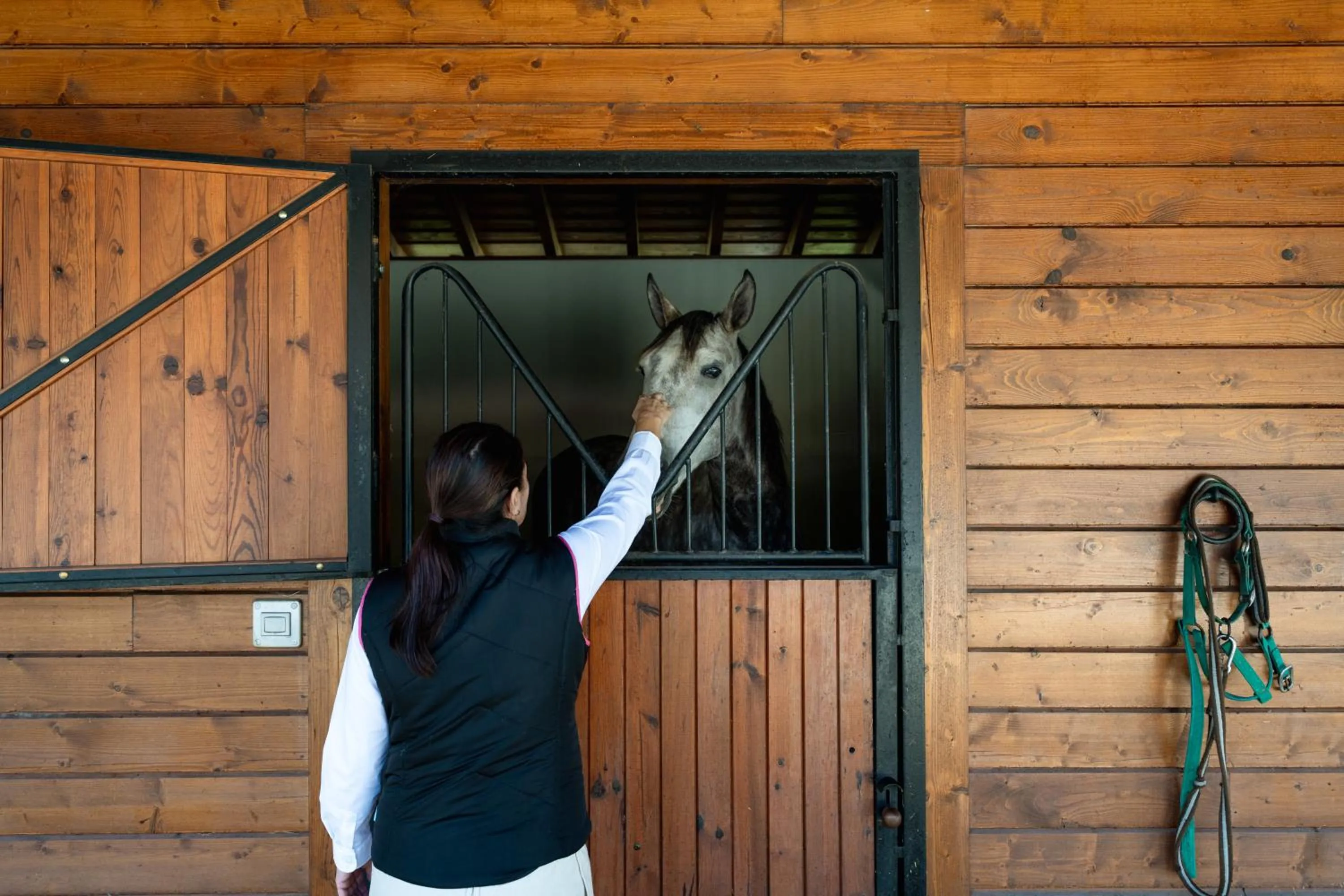 Animals in Casas da Memória