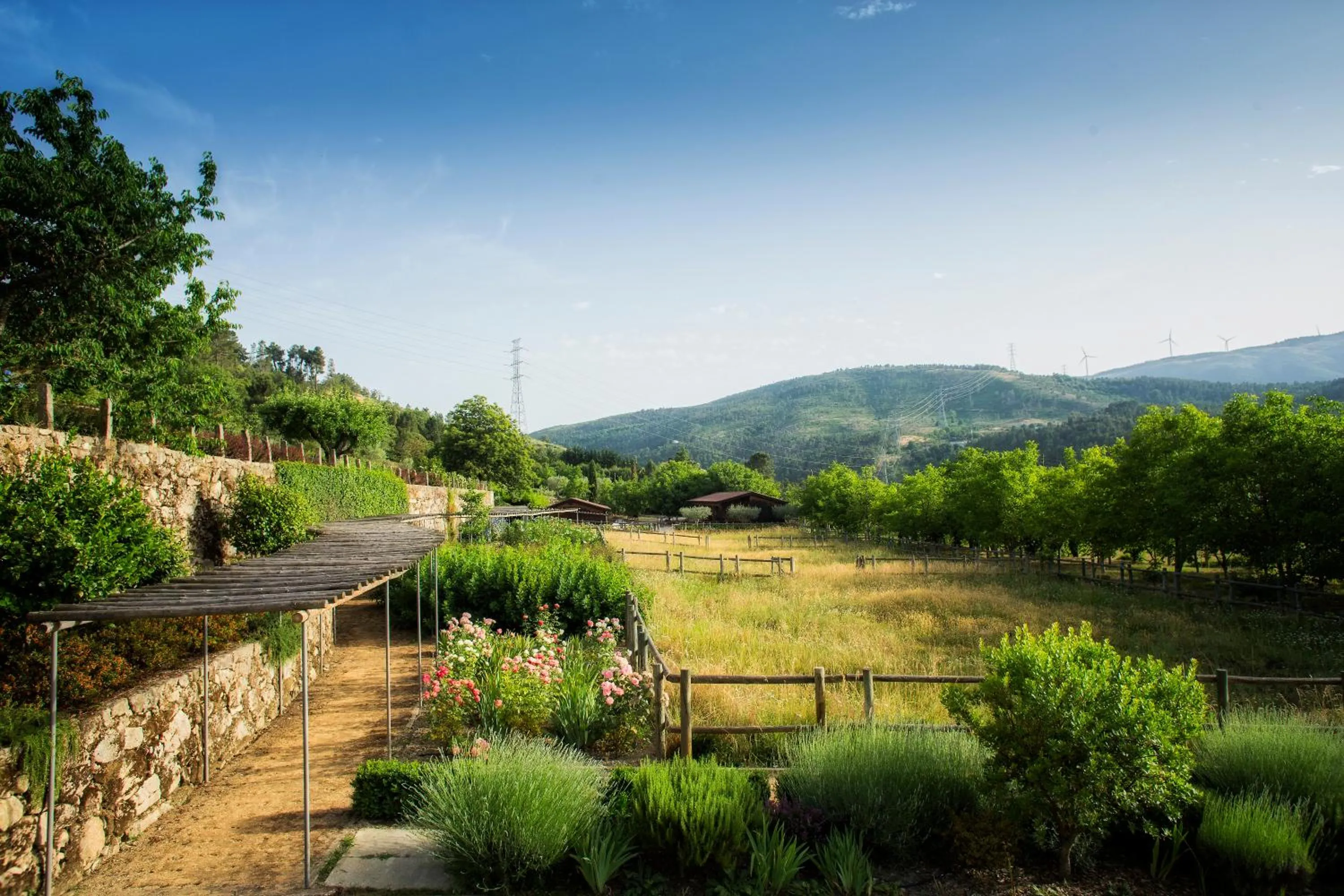 Spring in Casas da Memória