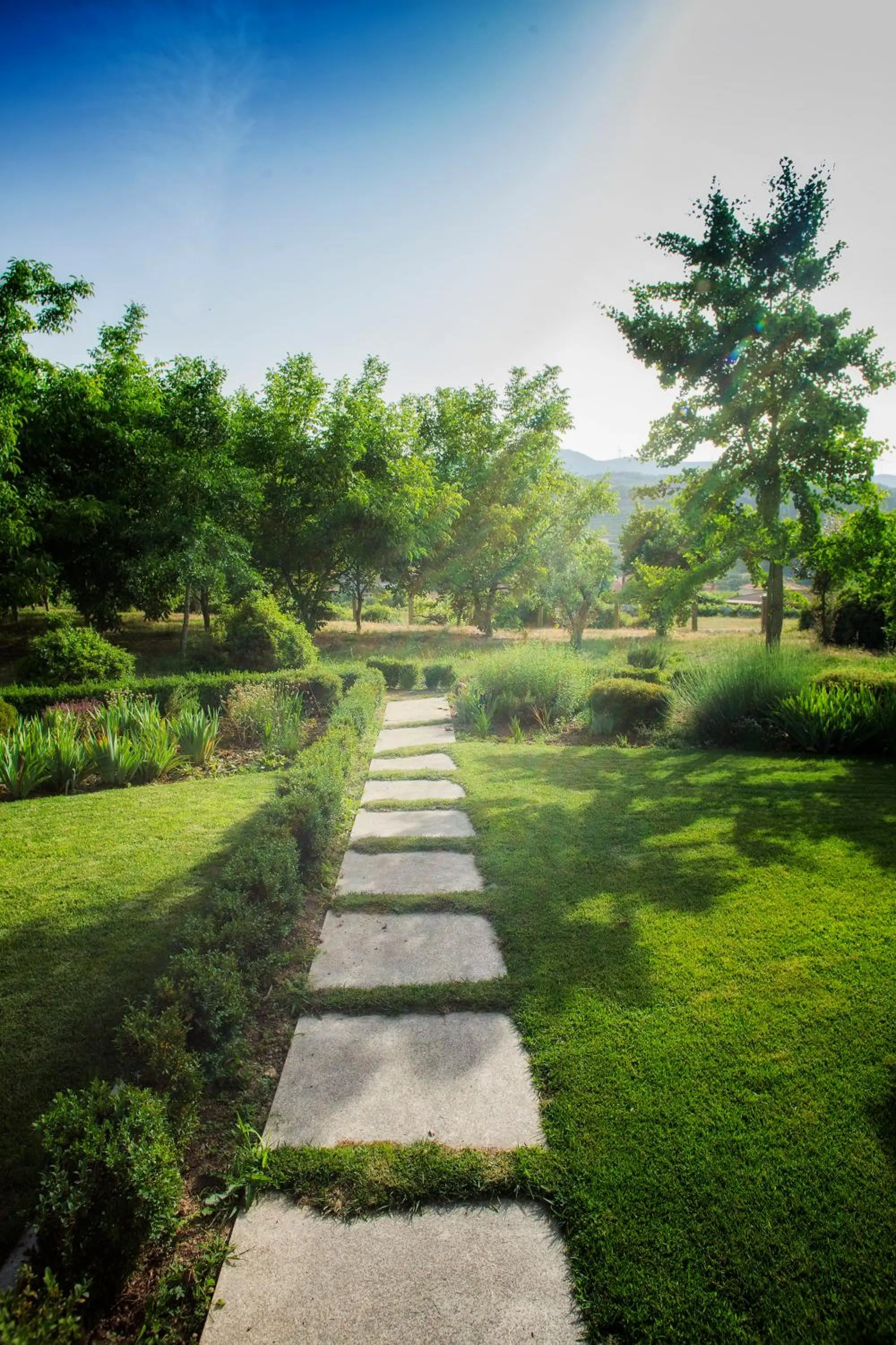 Natural landscape in Casas da Memória