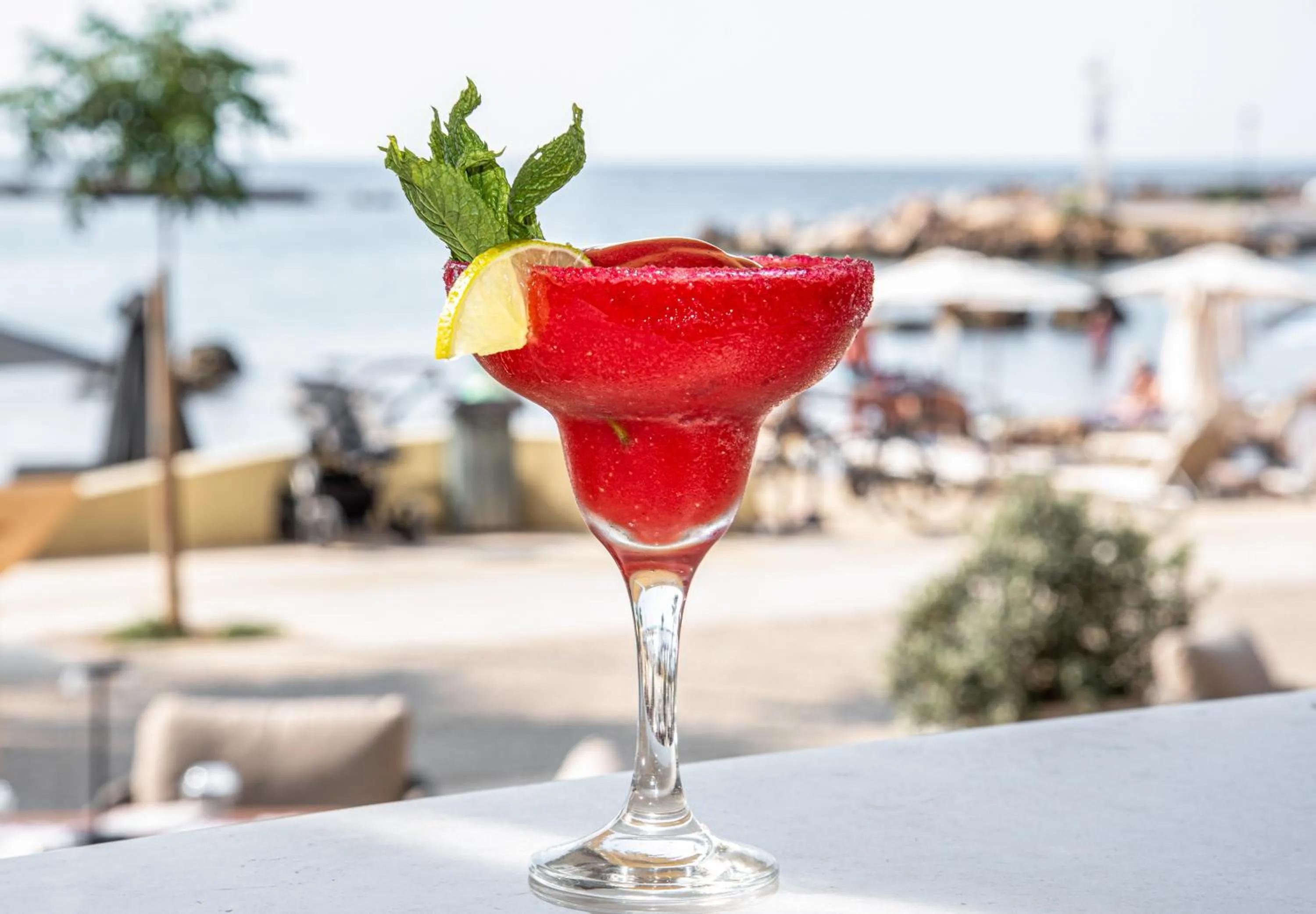 Restaurant/places to eat in EdgeWater Beach Hotel