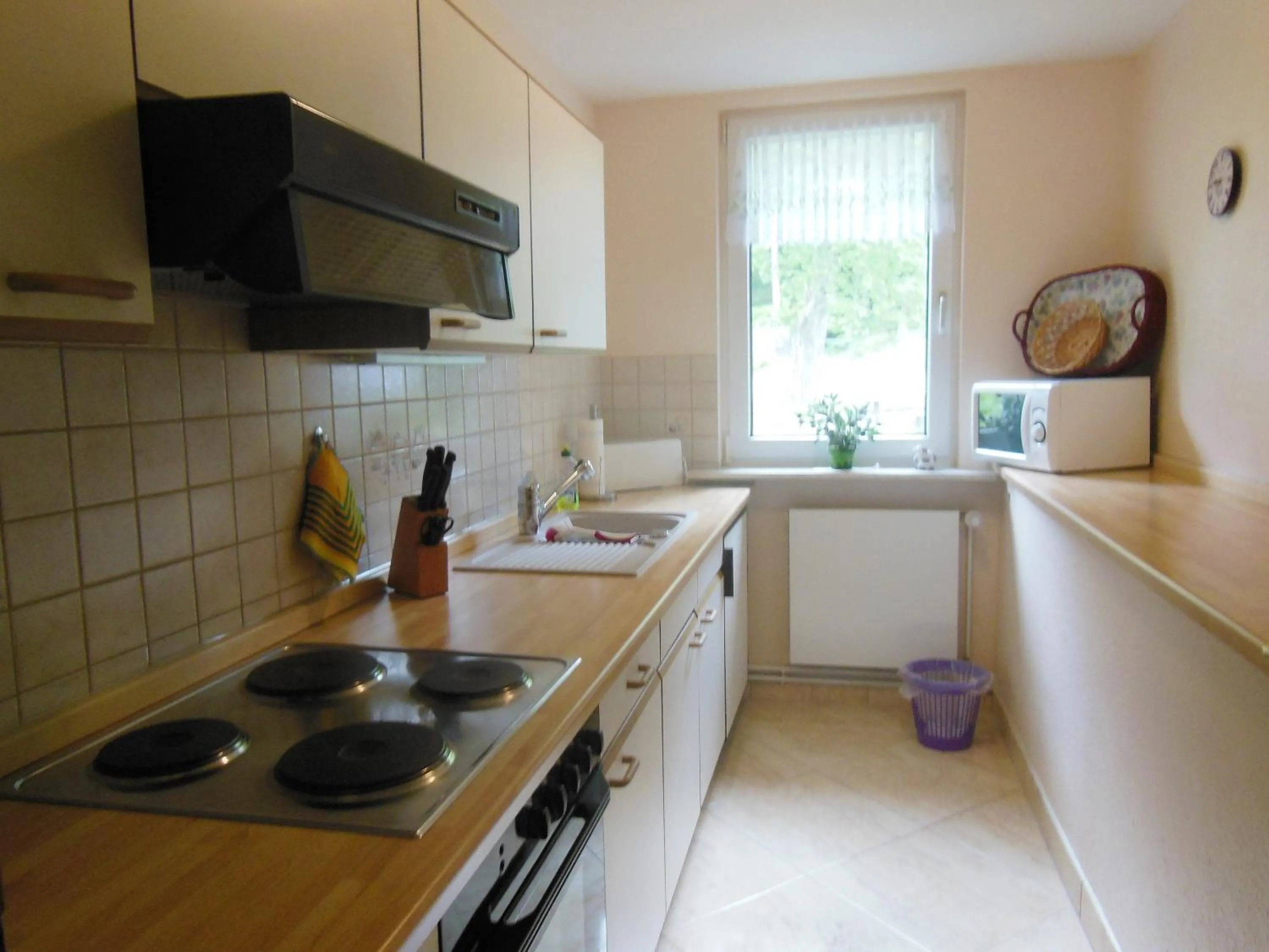 Kitchen or kitchenette in Ferienhaus Harzidyll