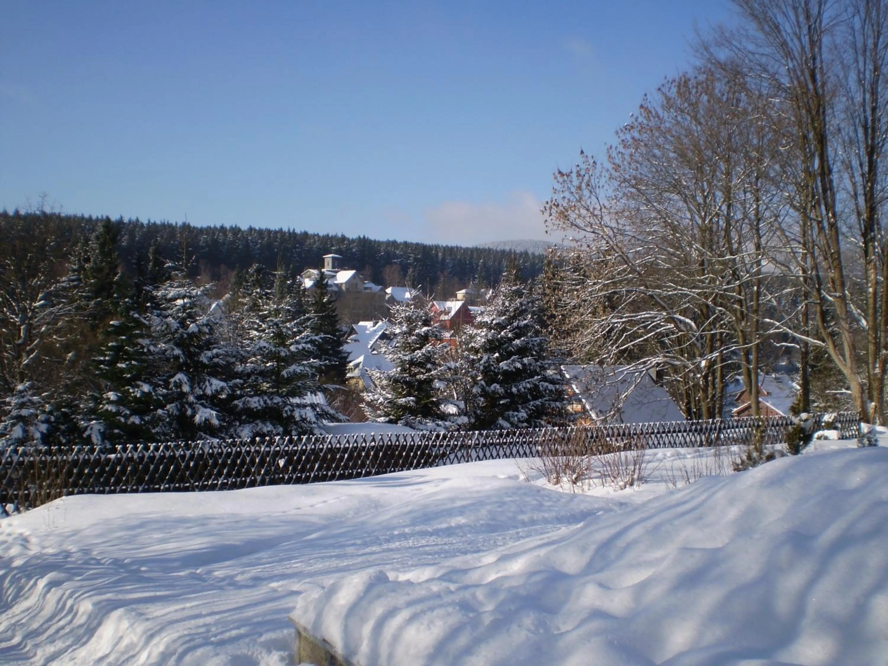Garden in Ferienhaus Harzidyll