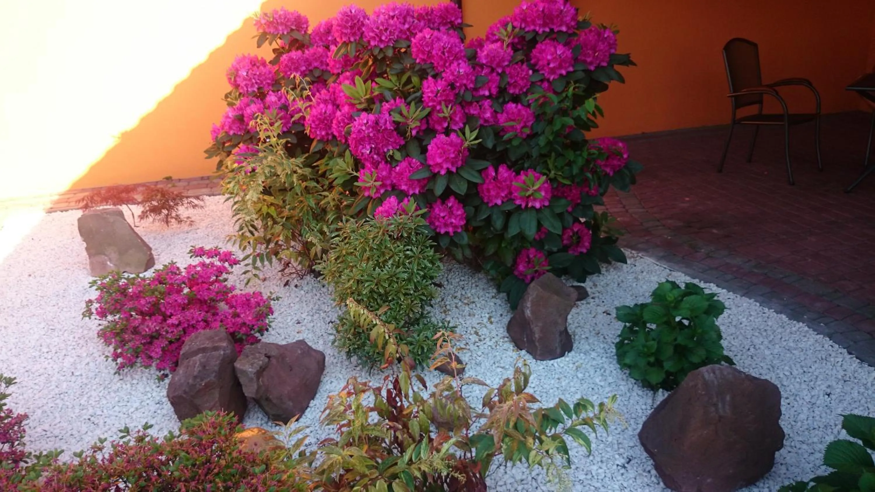 Garden in Zajazd Gielarek