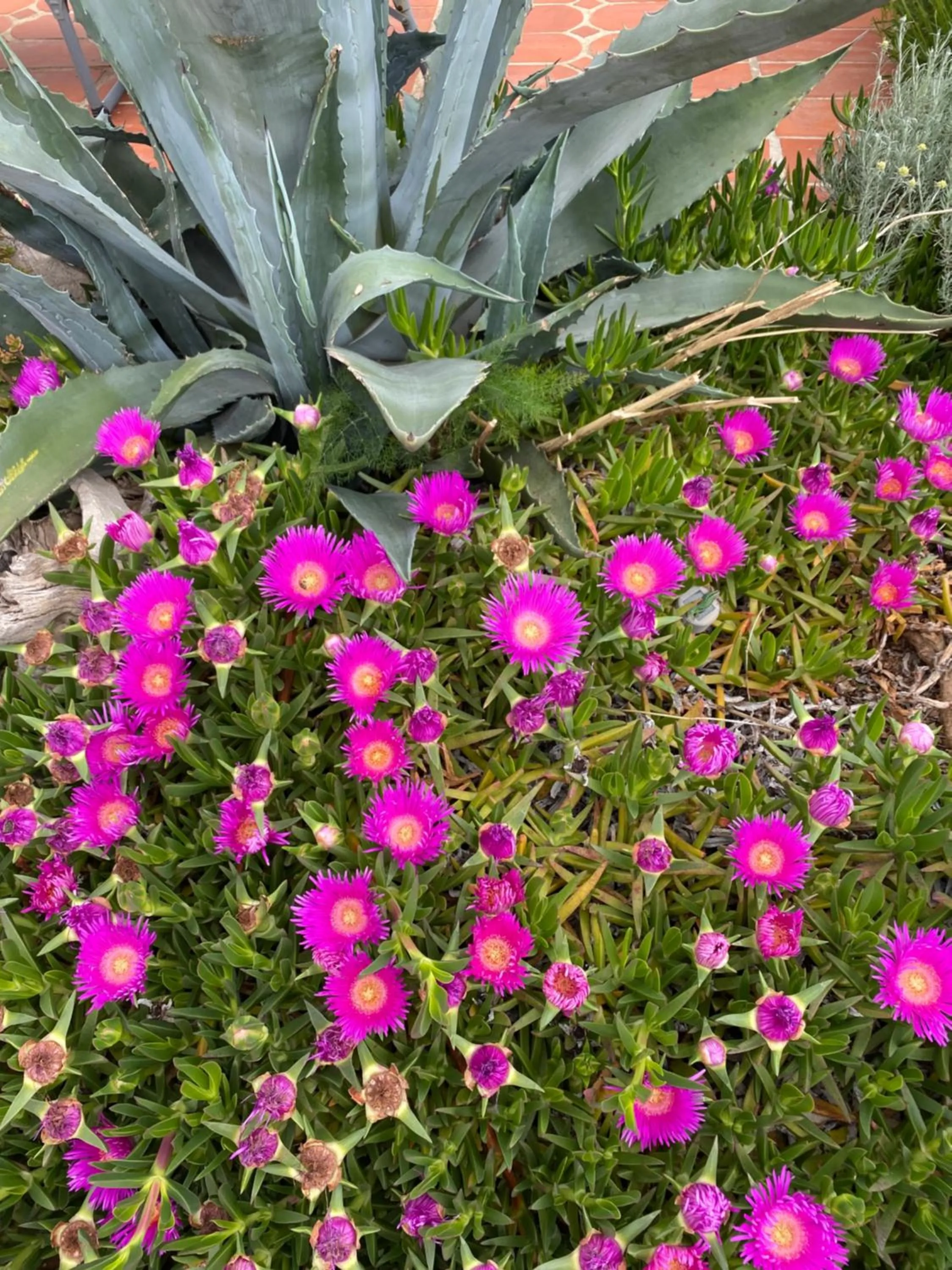 Accommodation with an experience!!! Hostel Kantun