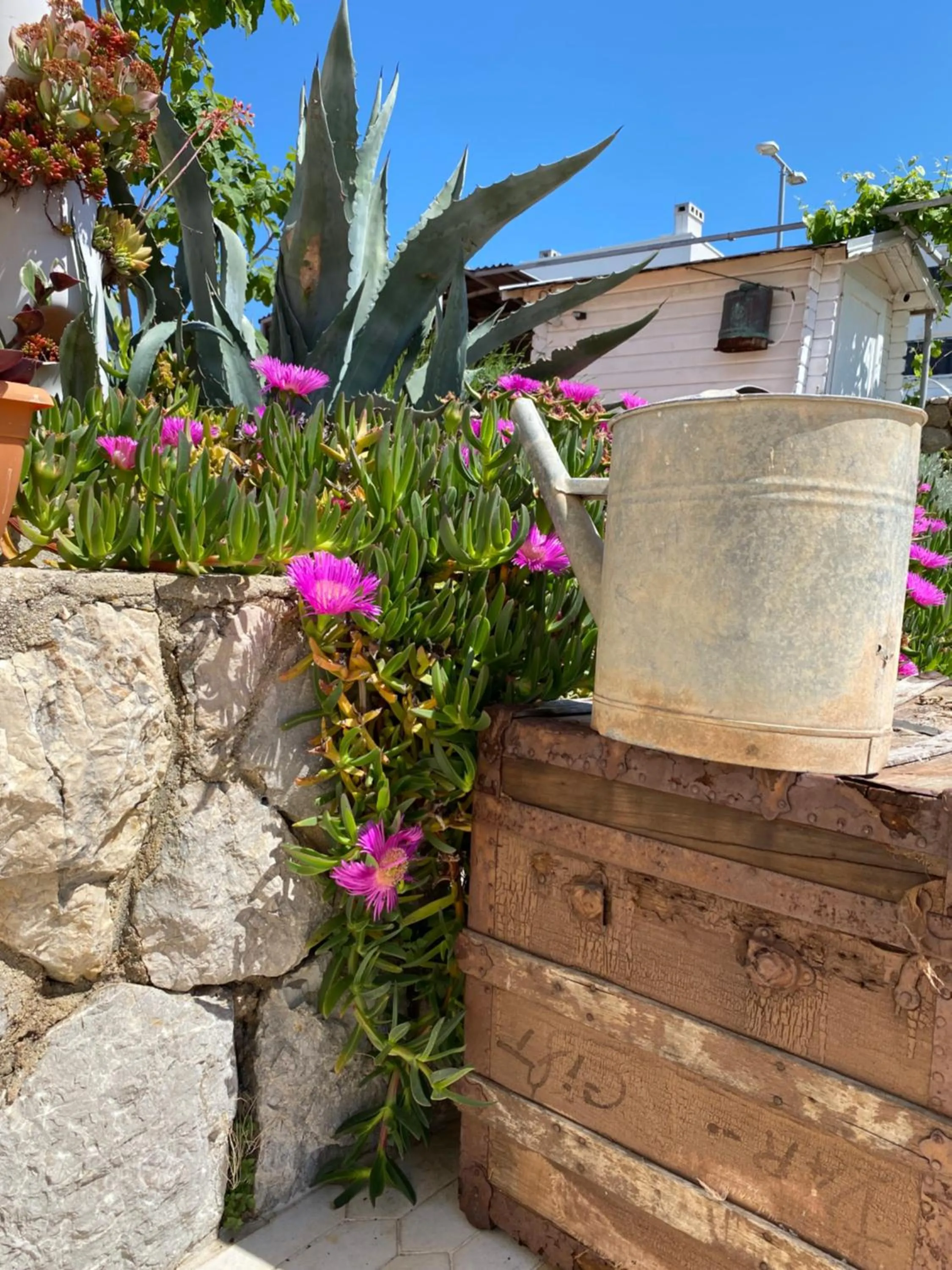 Accommodation with an experience!!! Hostel Kantun