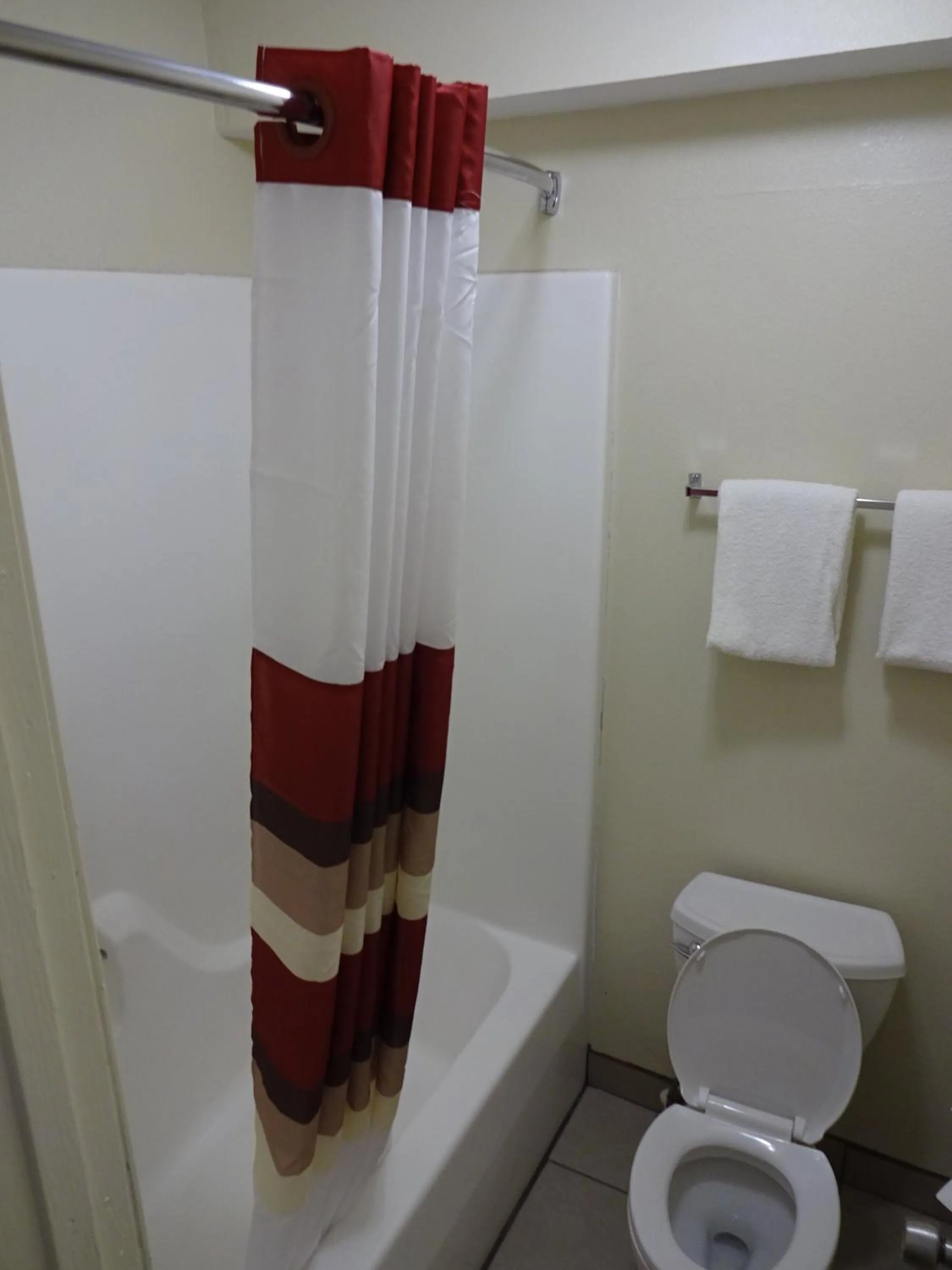 Bathroom in Red Roof Inn Indianapolis - Castleton