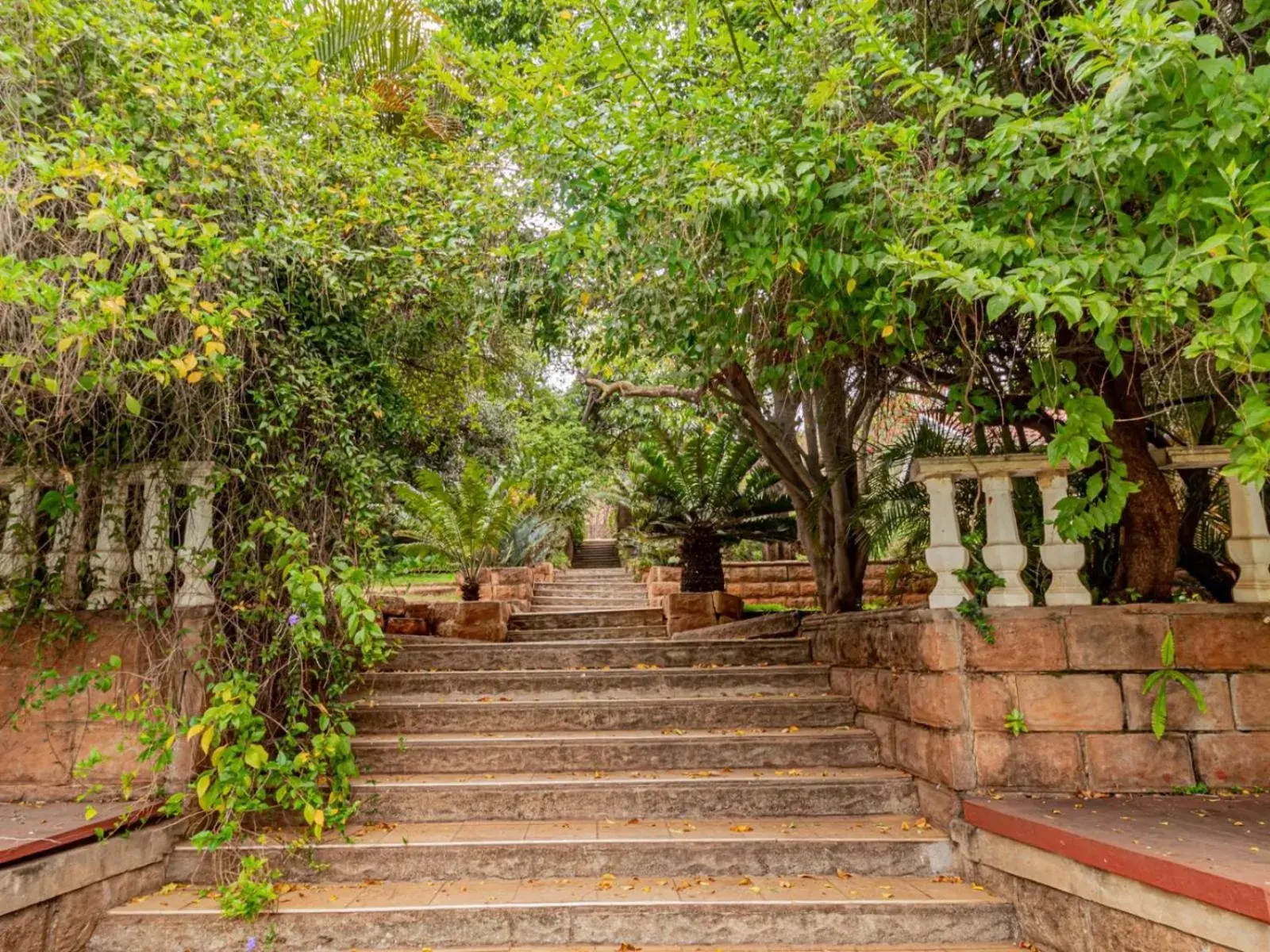 Garden in Casta Diva Boutique Hotel Garden in Casta Diva Boutique Hotel