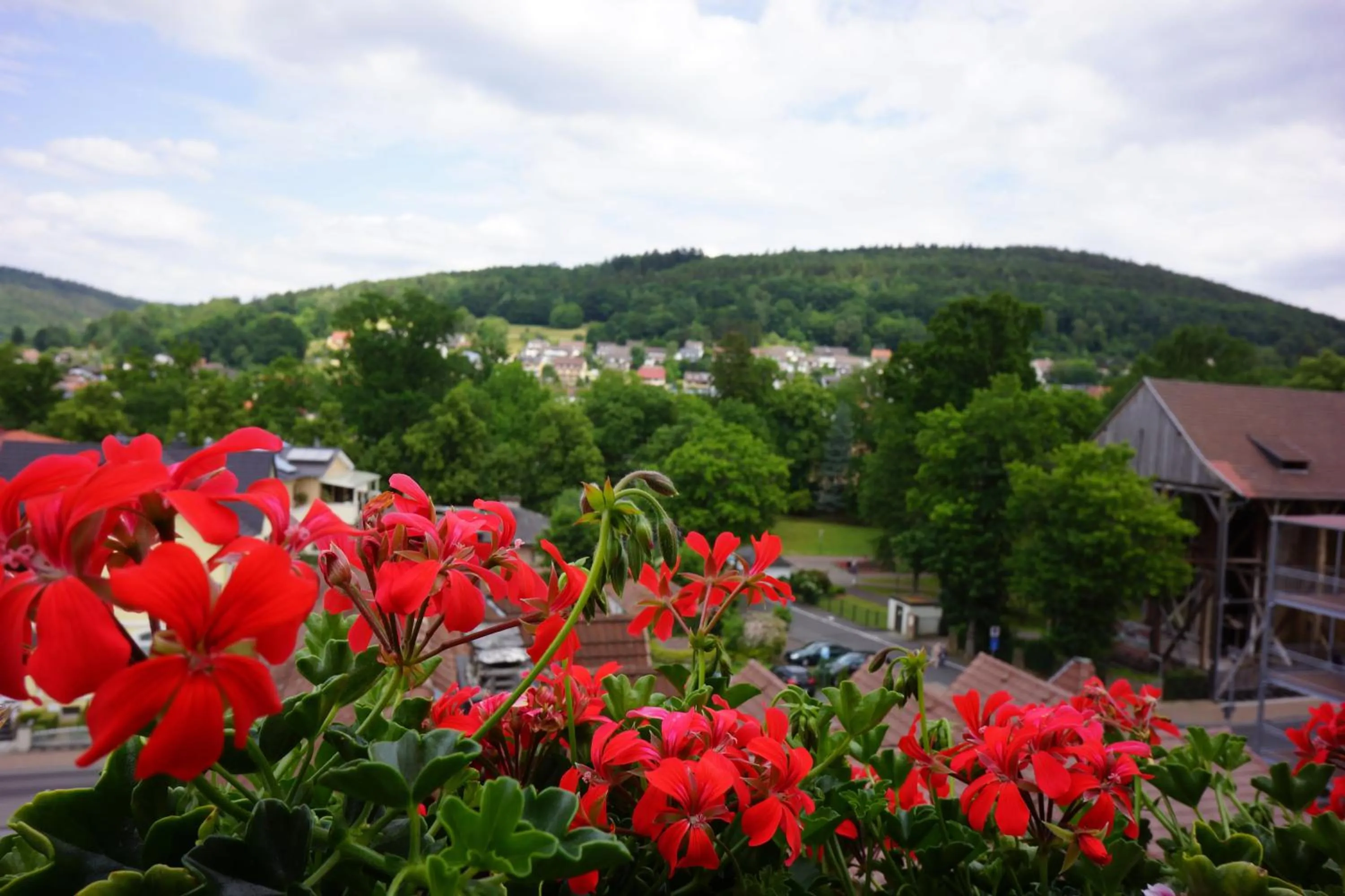 Spring in Hotel Lorösch