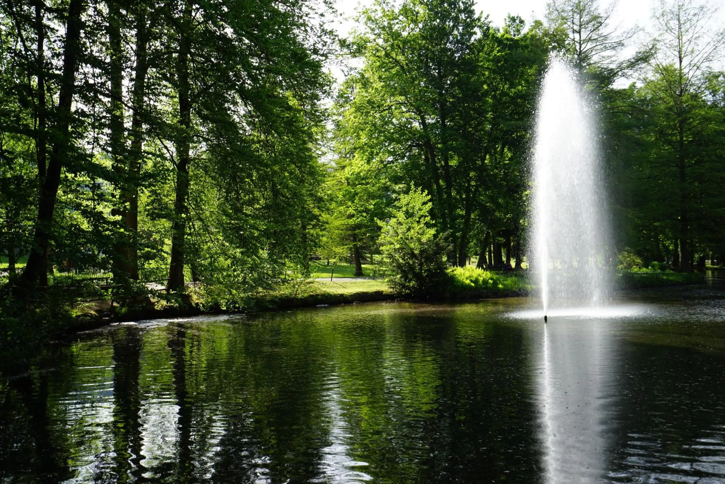 Other in Hotel Lorösch