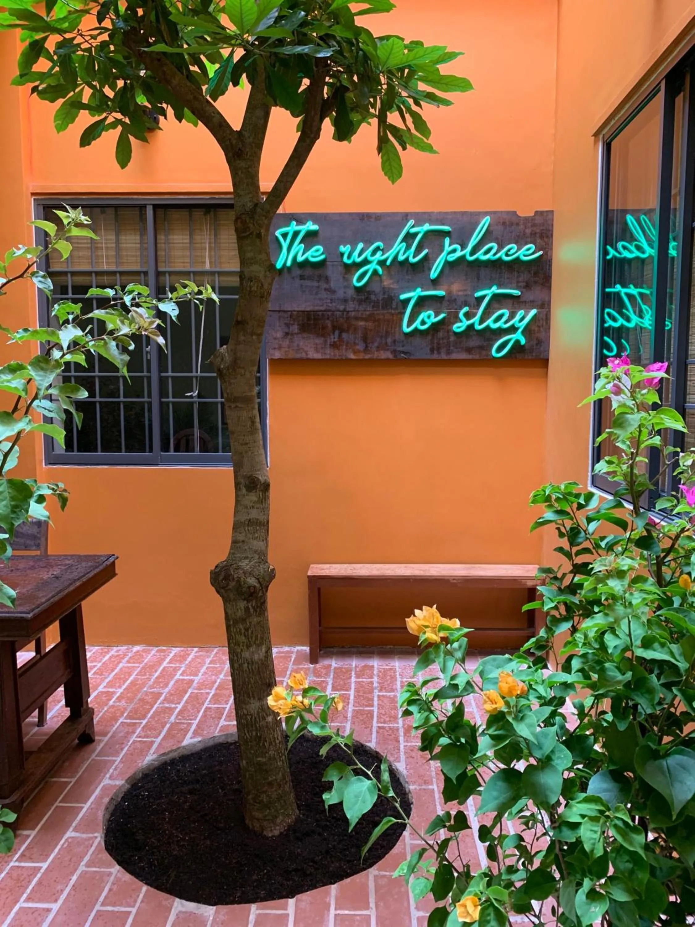 Garden in Chí Hiếu Homestay