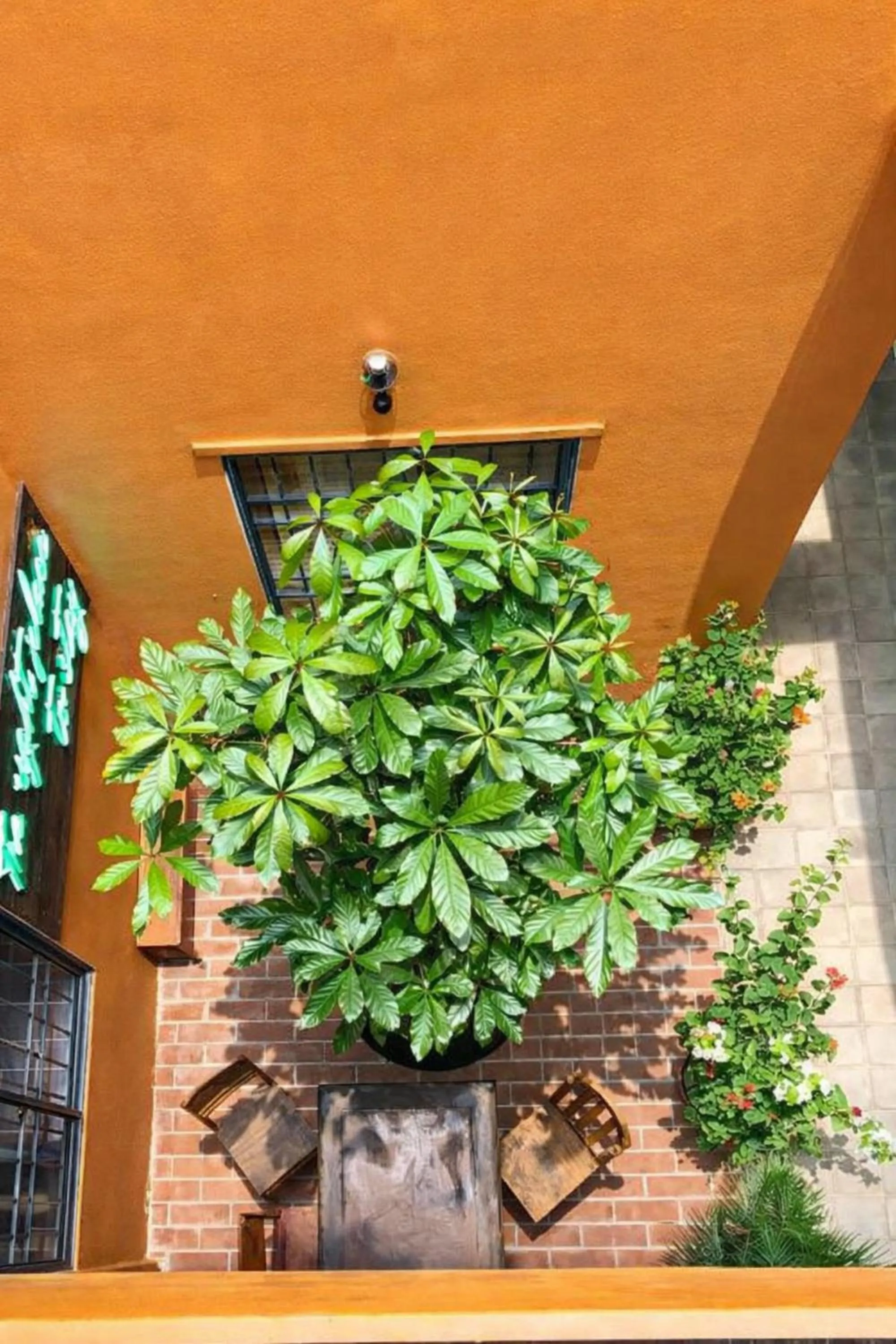 Day in Chí Hiếu Homestay