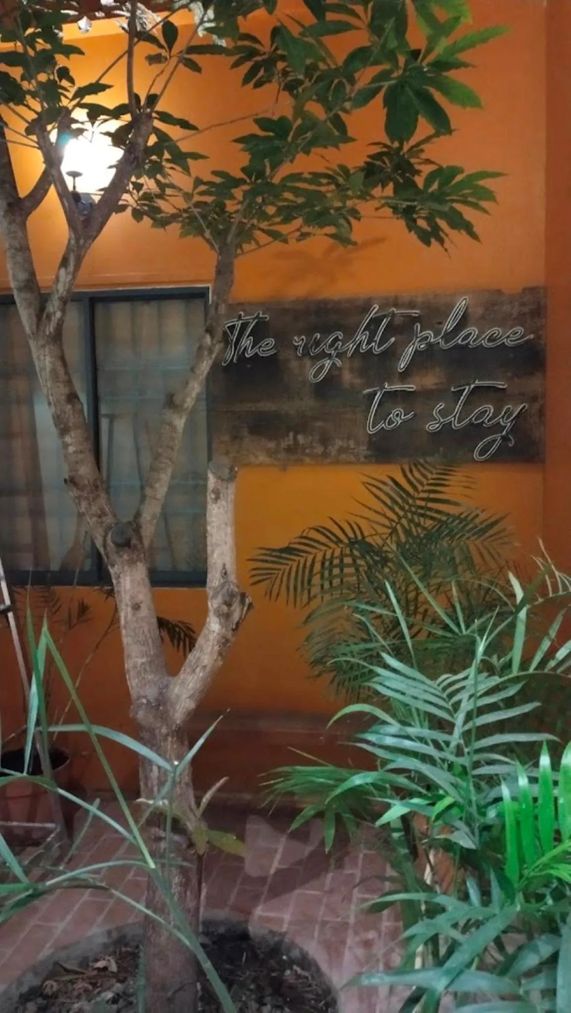 Day in Chí Hiếu Homestay